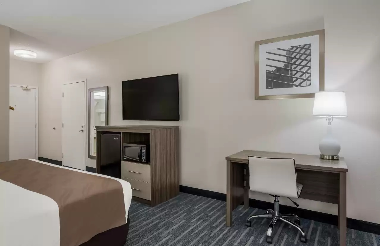 Double King Bed Non Smoking