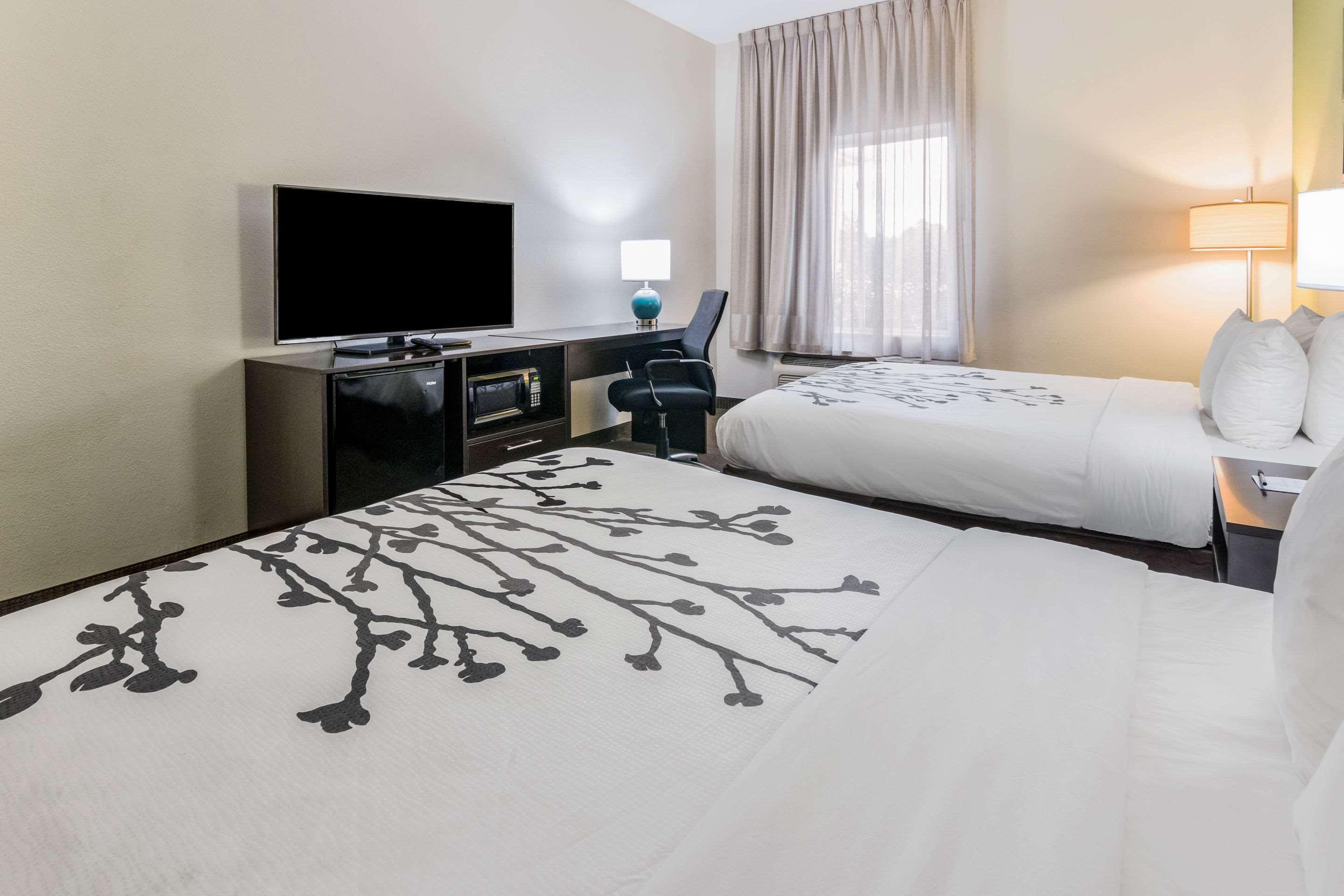 Double Two Queen Beds