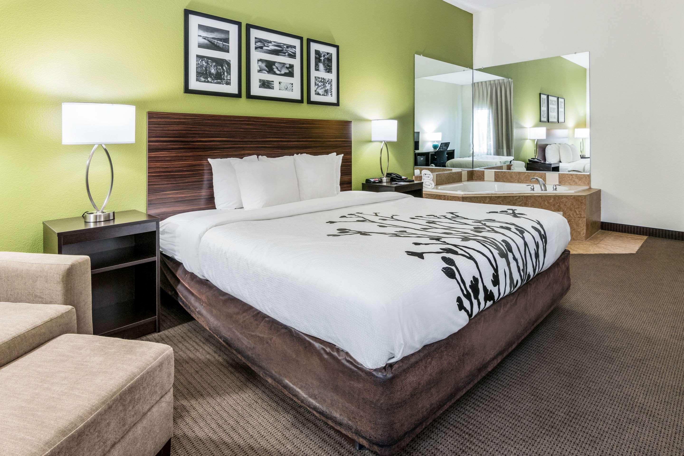 Suite King Bed Non Smoking