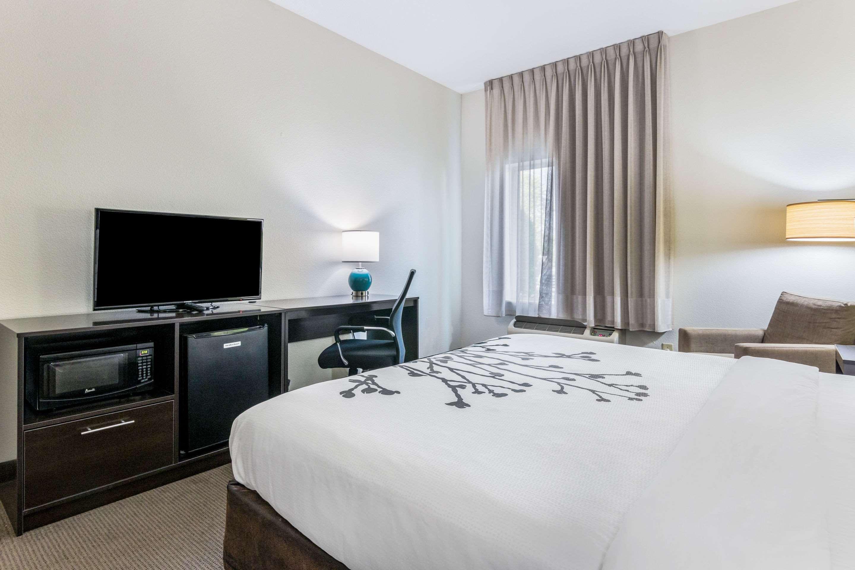 Suite King Bed Non Smoking