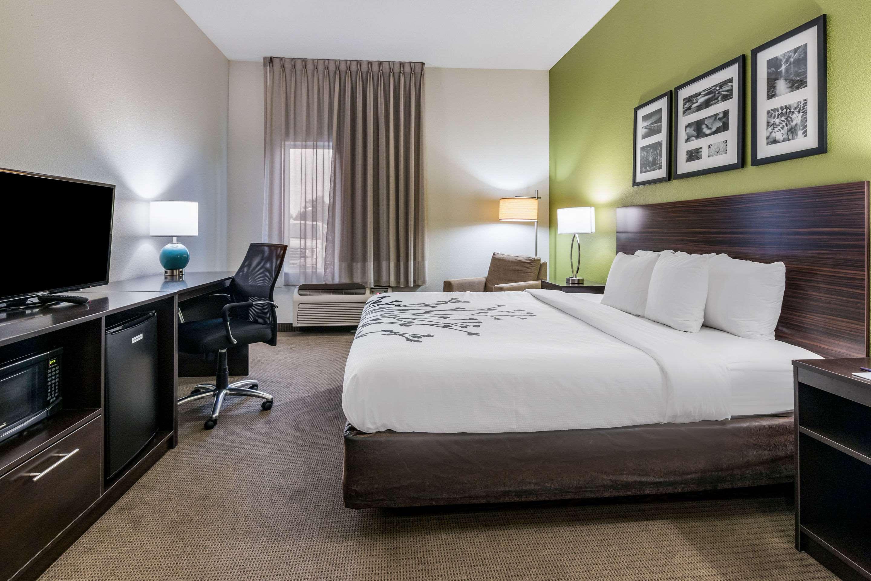 Double King Bed Non Smoking