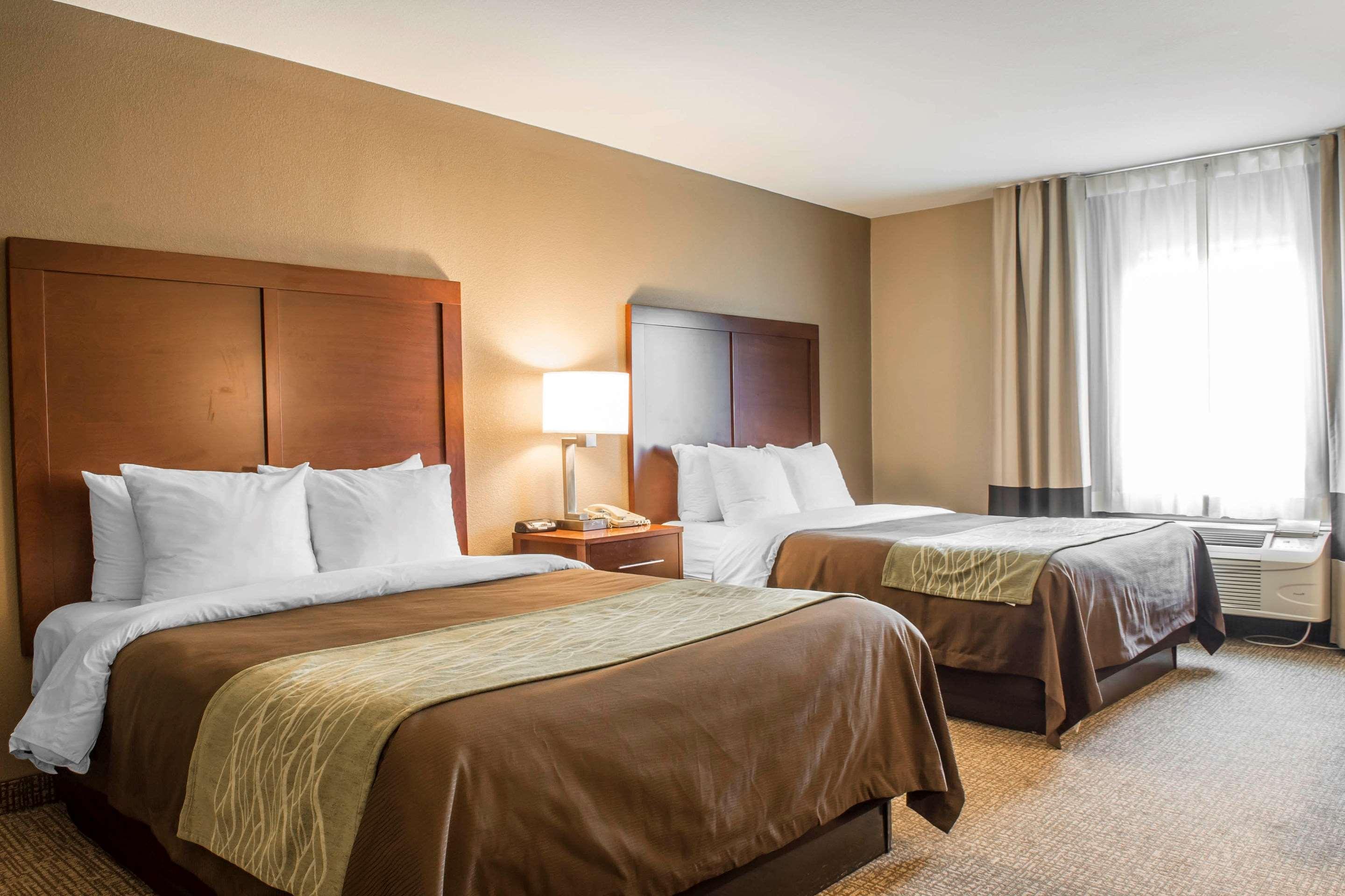 Suite Two Queen Beds