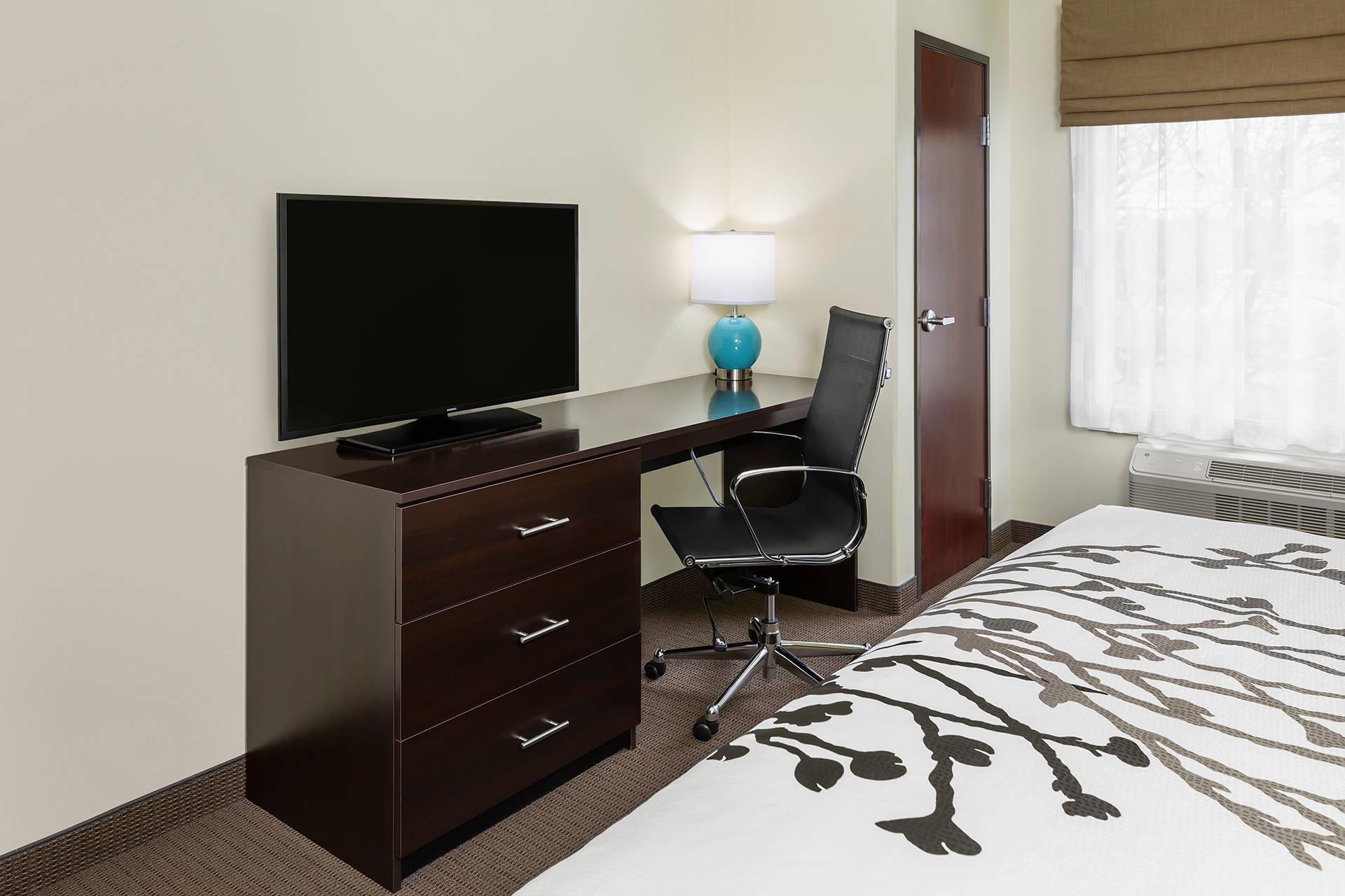 Suite King Bed Non Smoking
