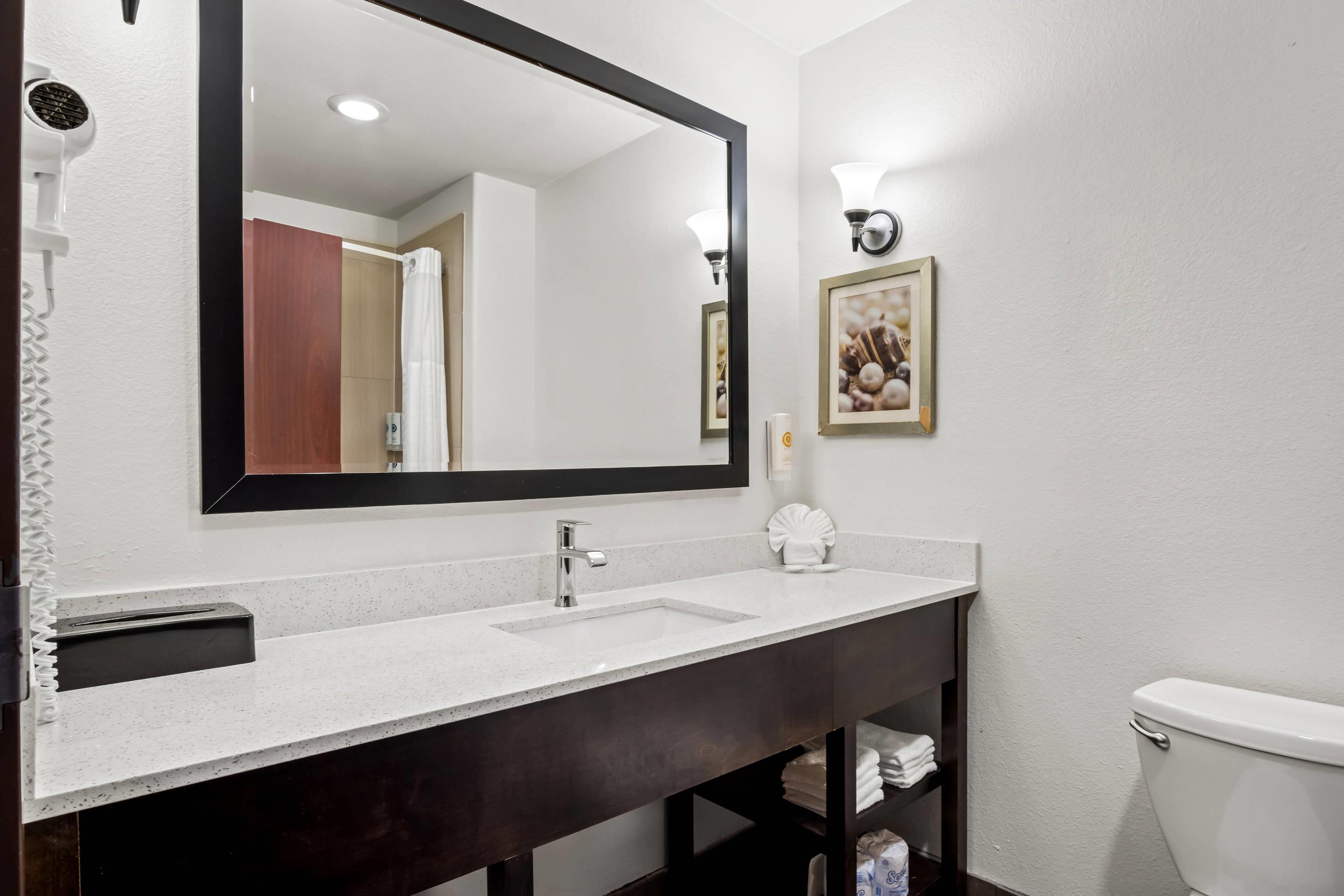 Suite King Bed Non Smoking