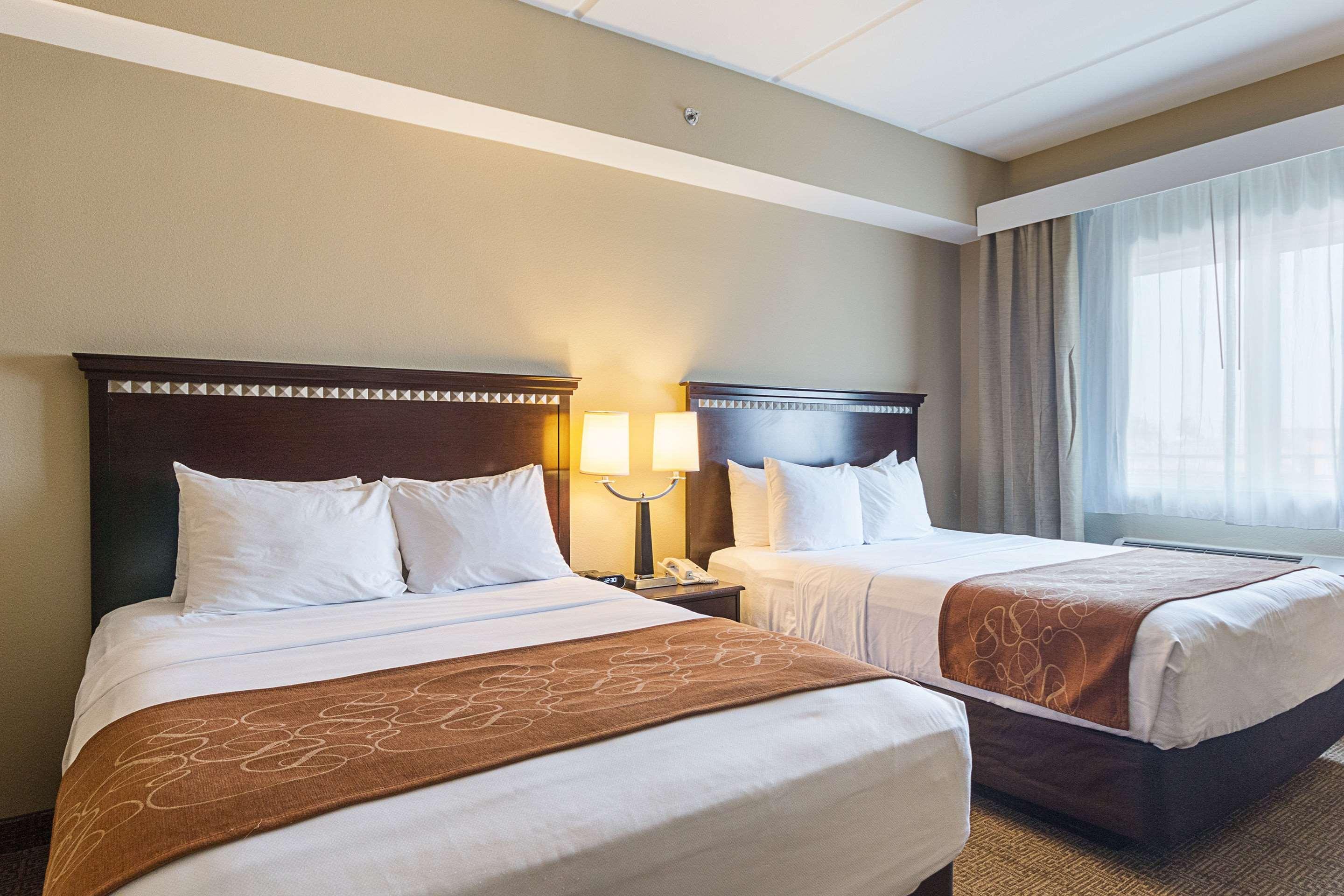 Suite Two Queen Beds