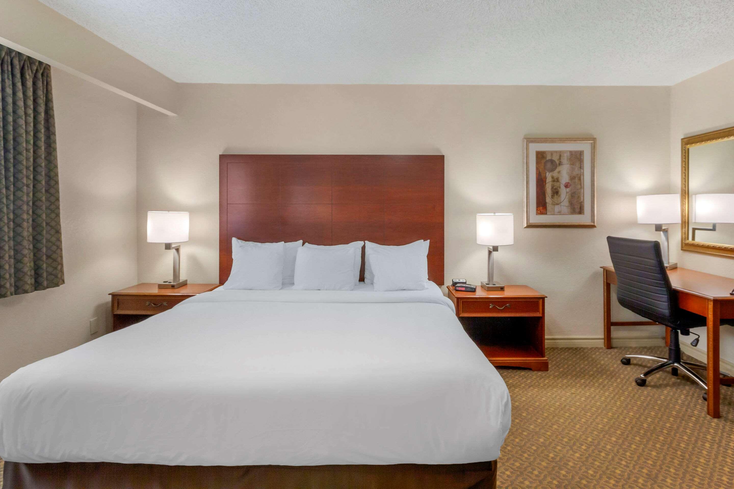 Double King Bed Non Smoking