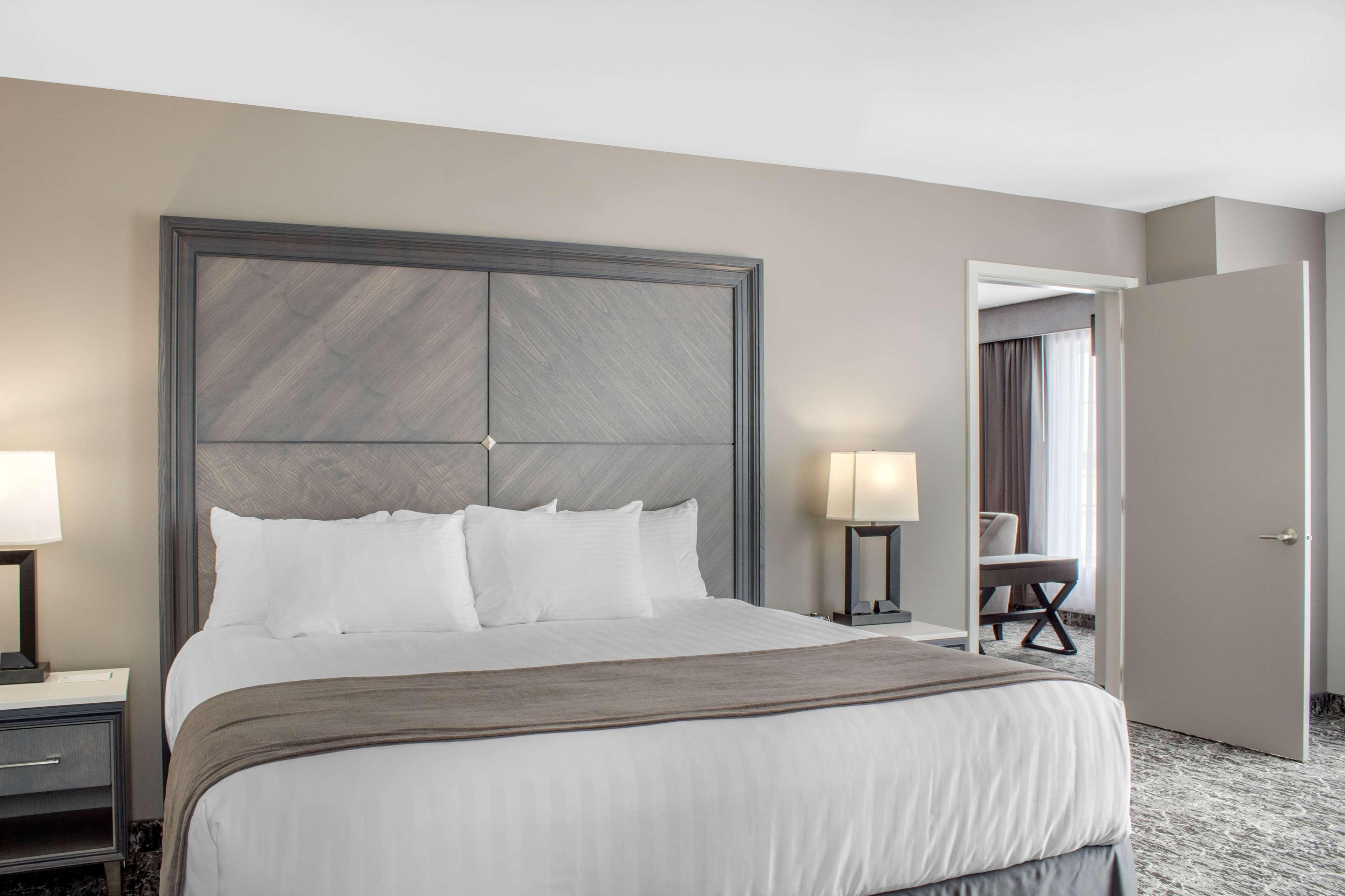 Suite King Bed Non Smoking