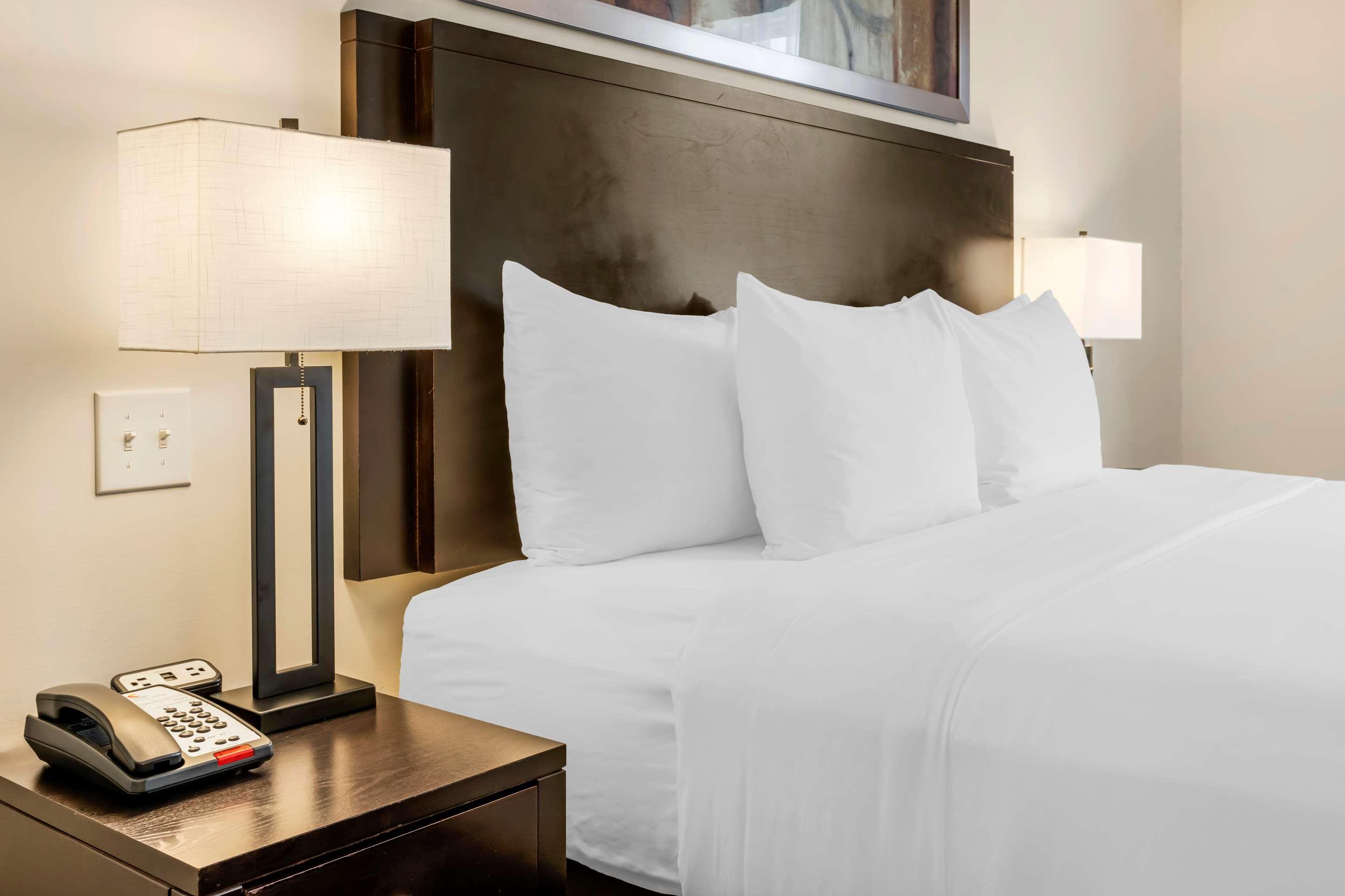 Double King Bed Non Smoking