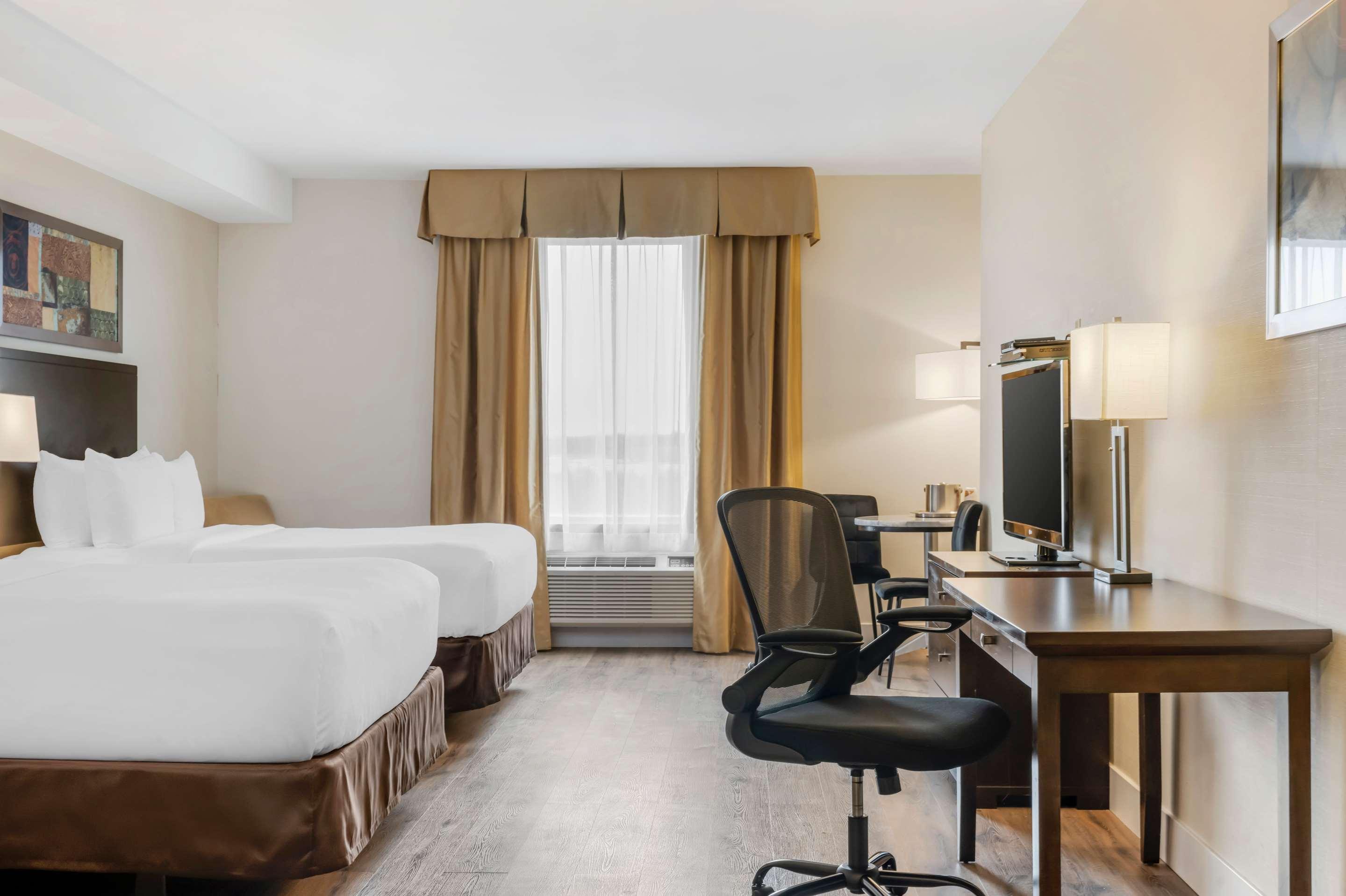 Quadruple Two Queen Beds Non Smoking