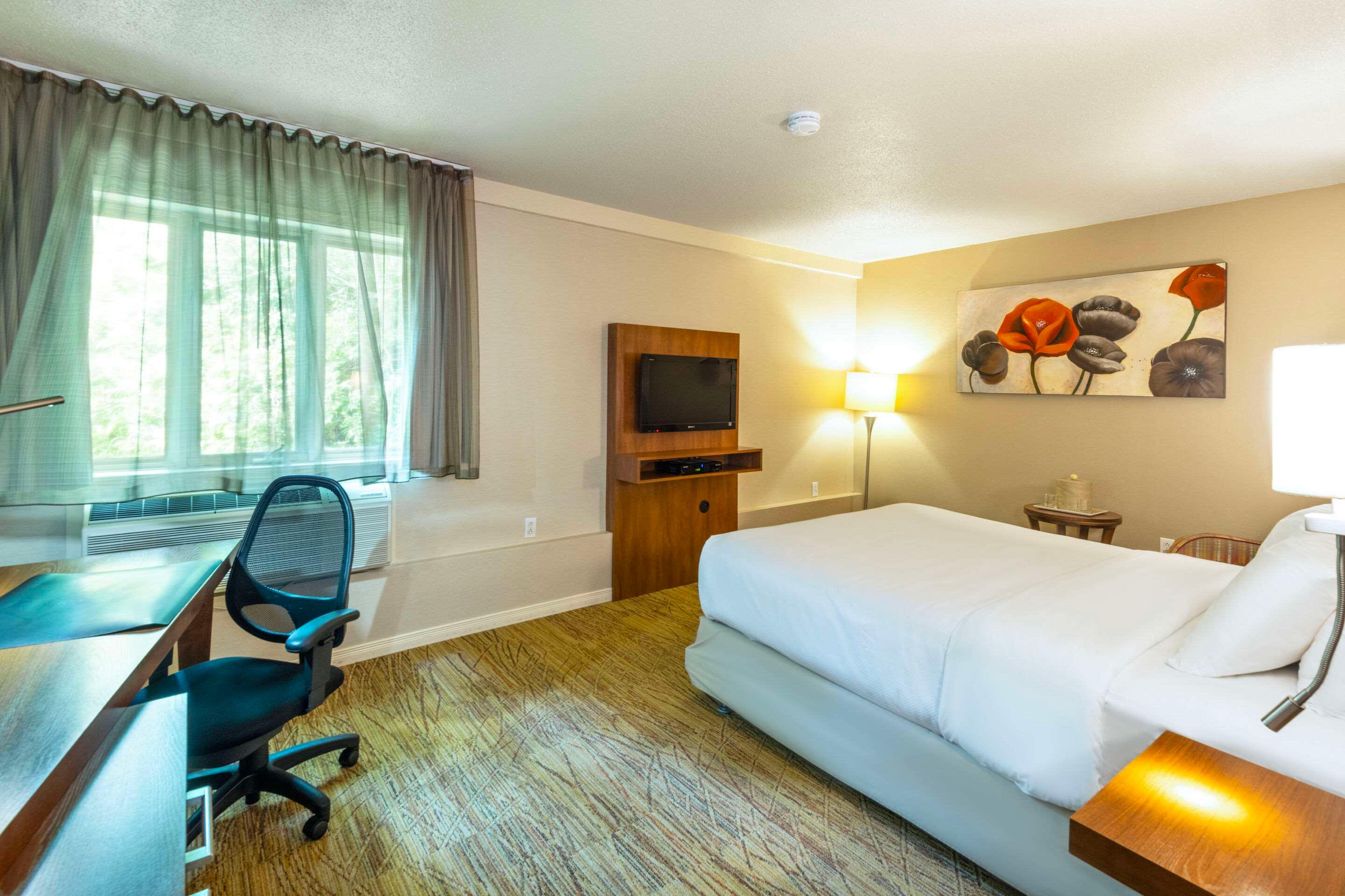 Double King Bed Non Smoking