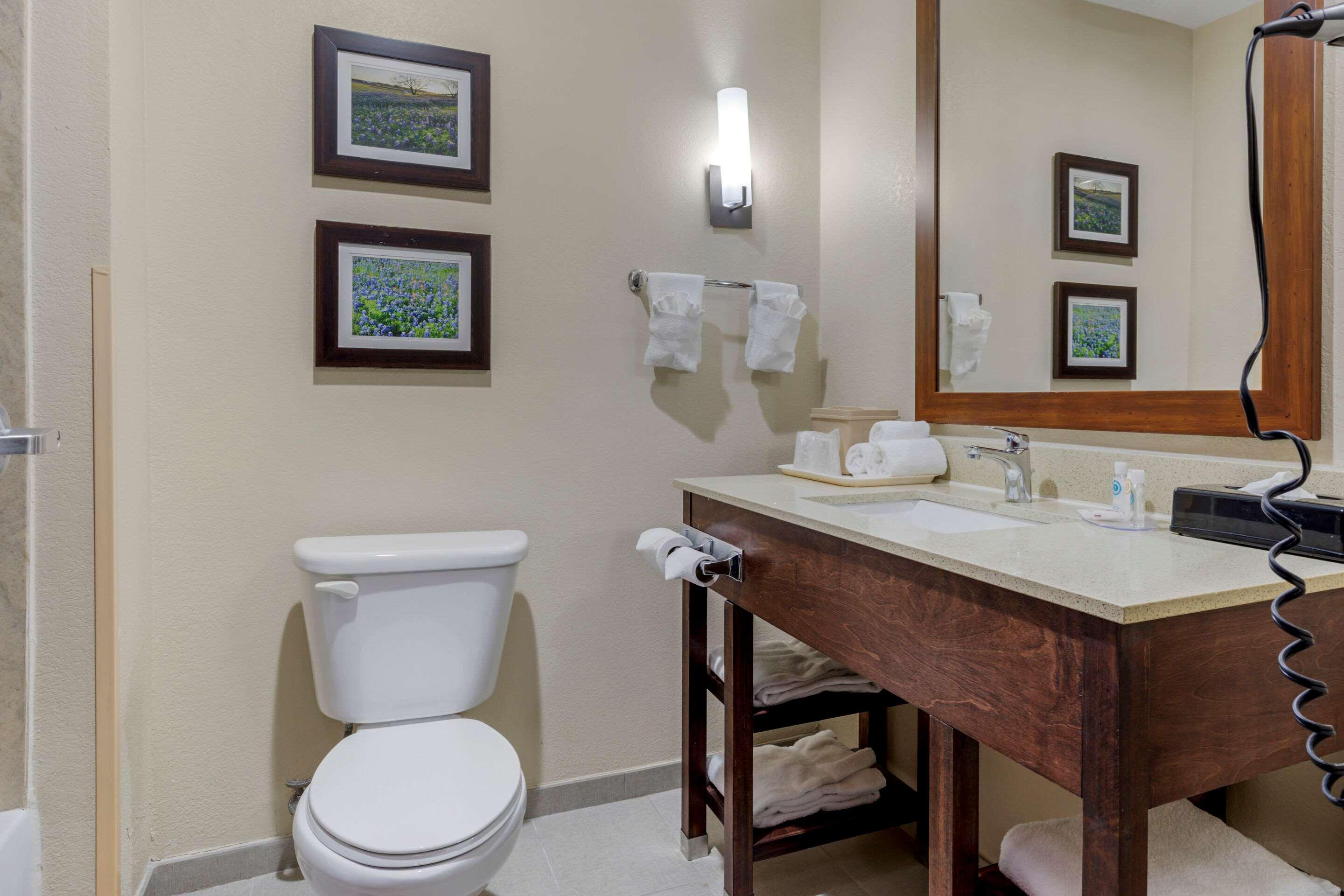 Suite King Bed Non Smoking