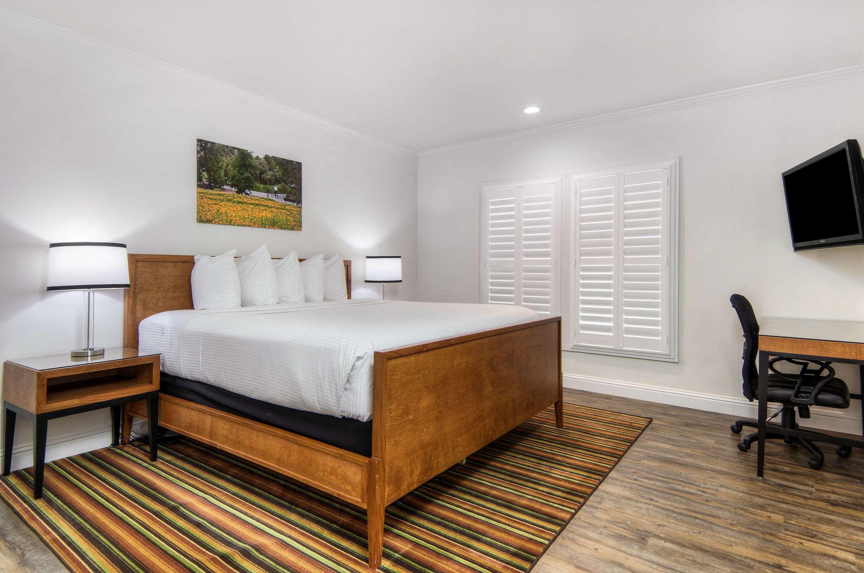 Suite King Bed Non Smoking