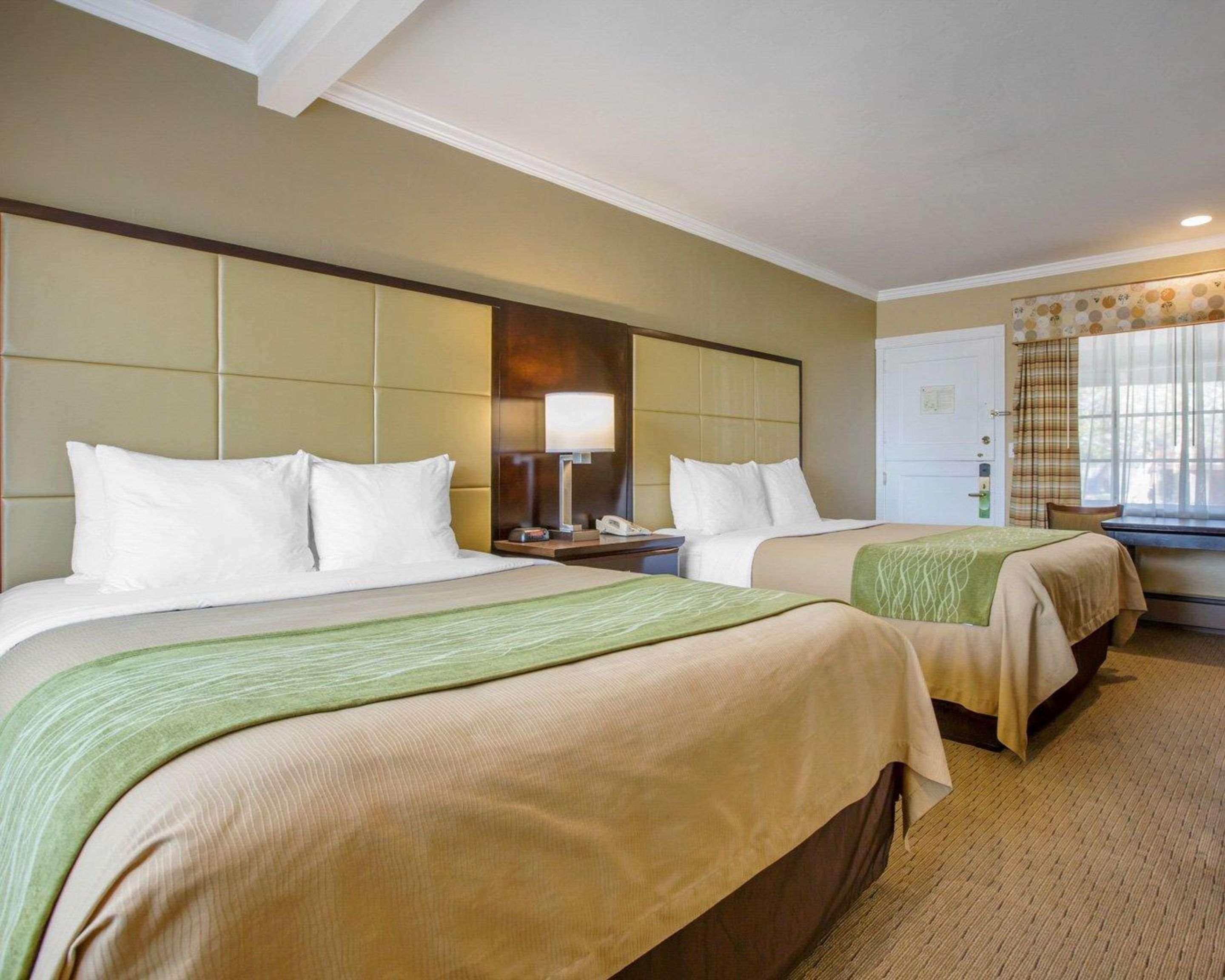 Double Two Queen Beds Non Smoking