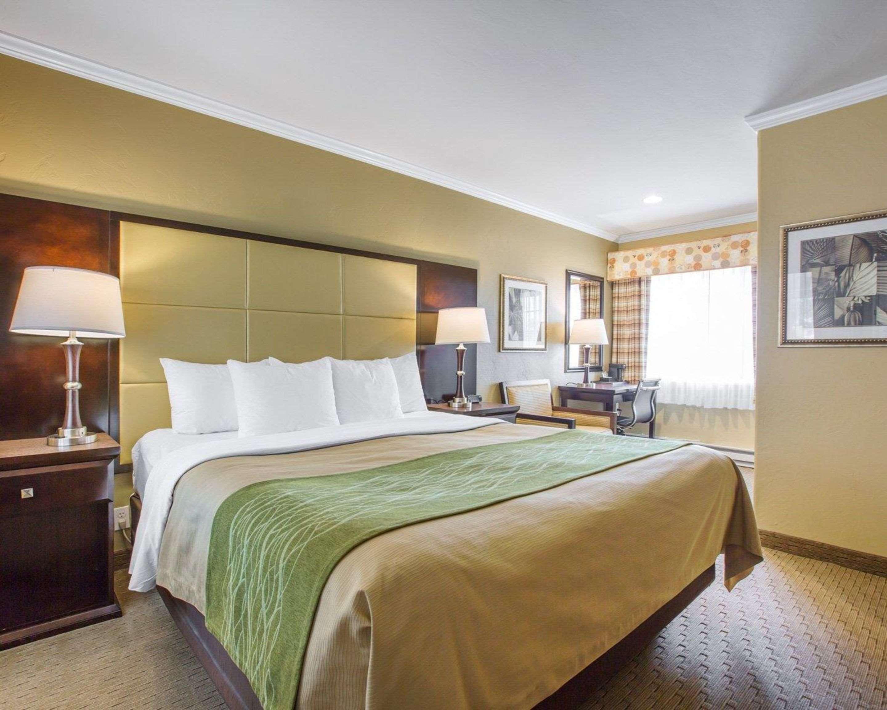 Double King Bed Non Smoking