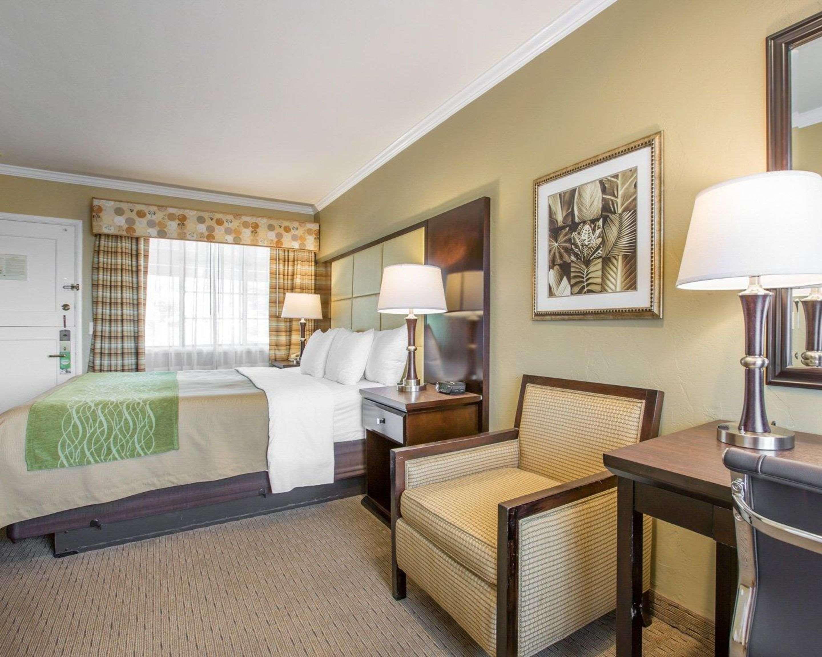 Double King Bed Non Smoking