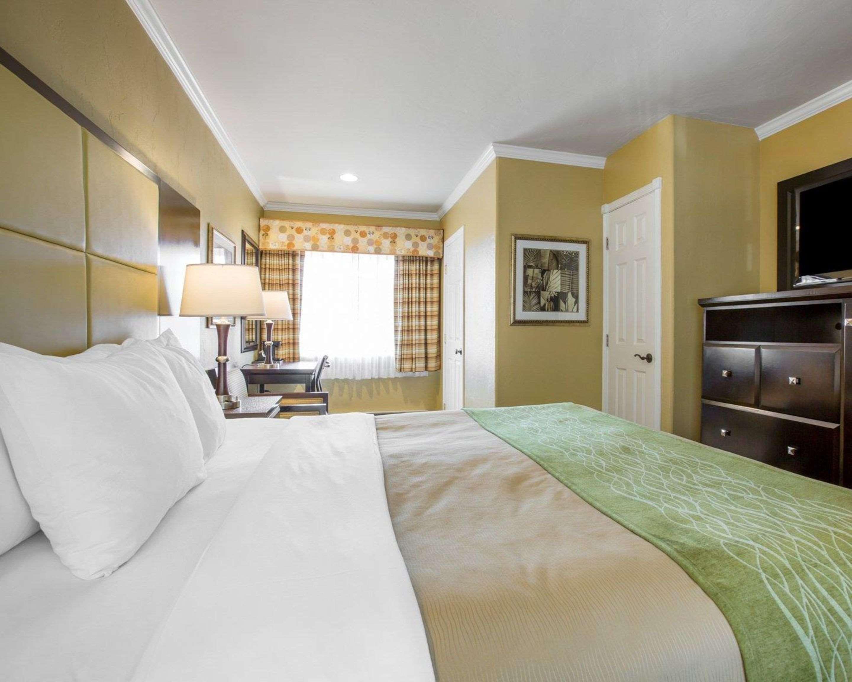 Double King Bed Non Smoking