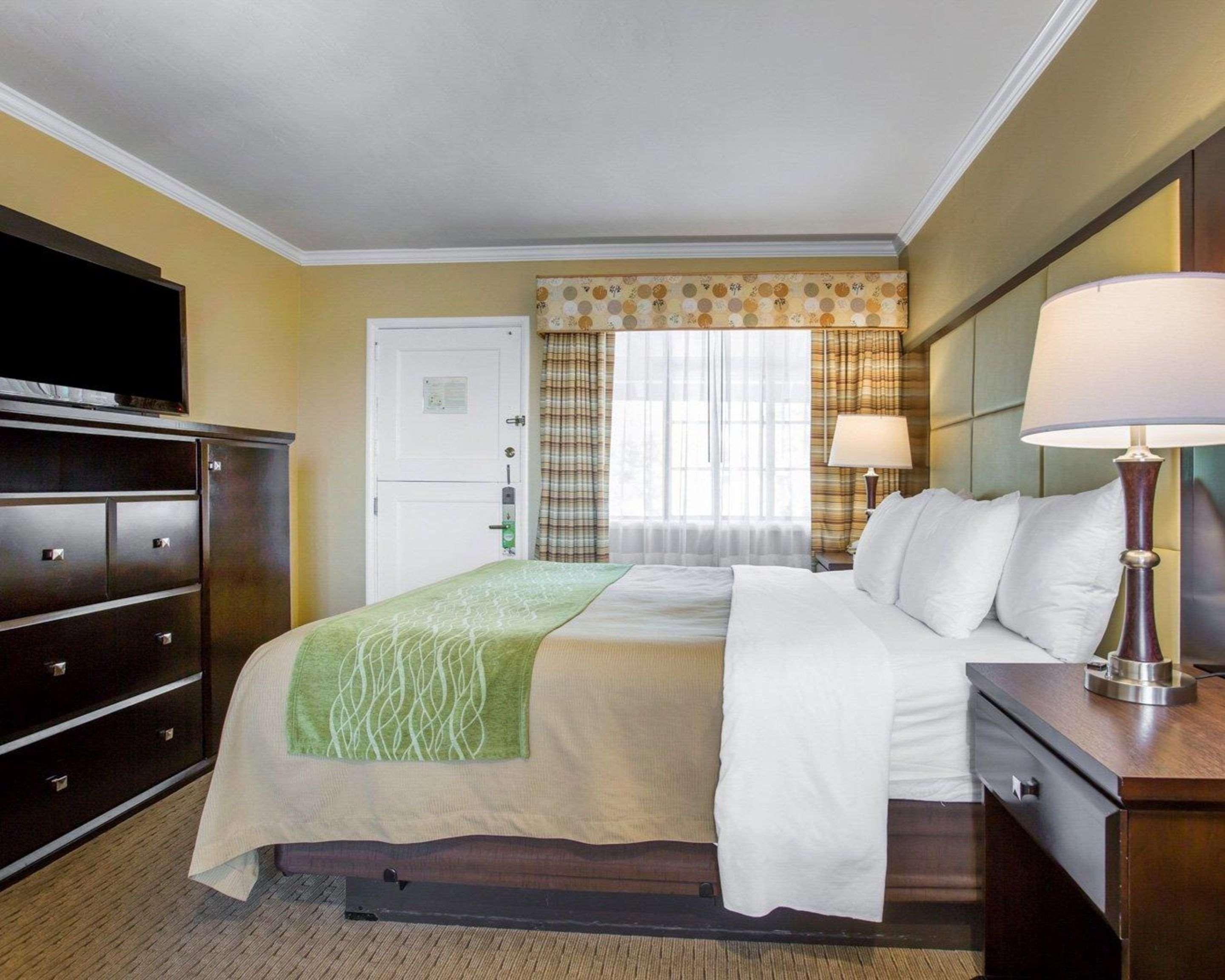 Double King Bed Non Smoking