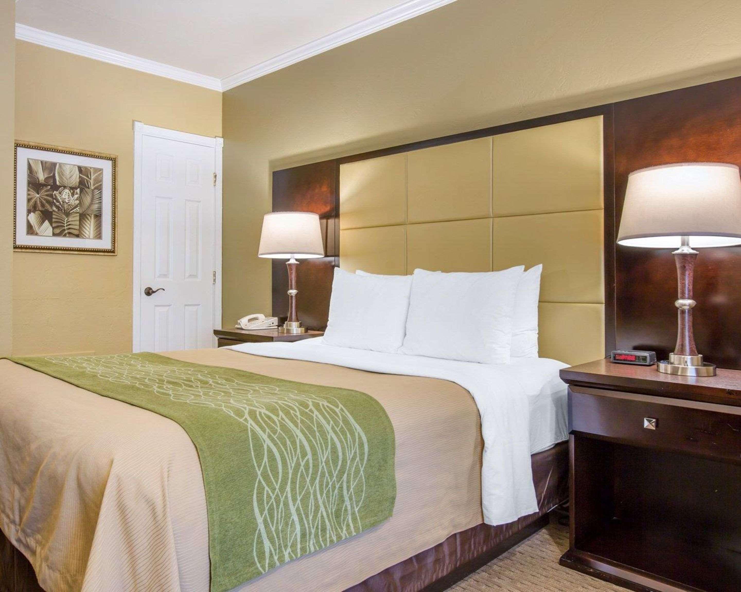 Double Queen Bed Non Smoking