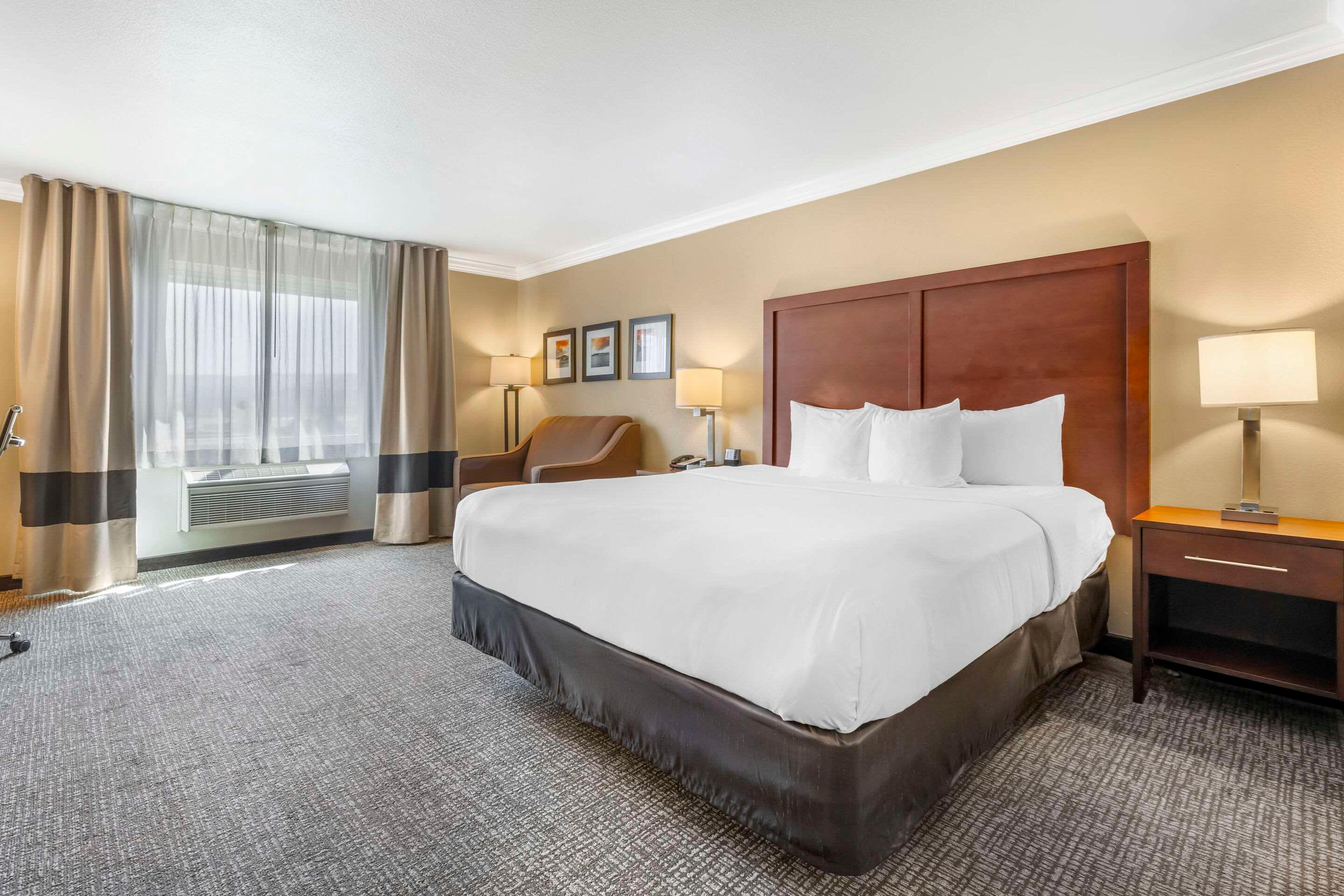 Double King Bed Non Smoking