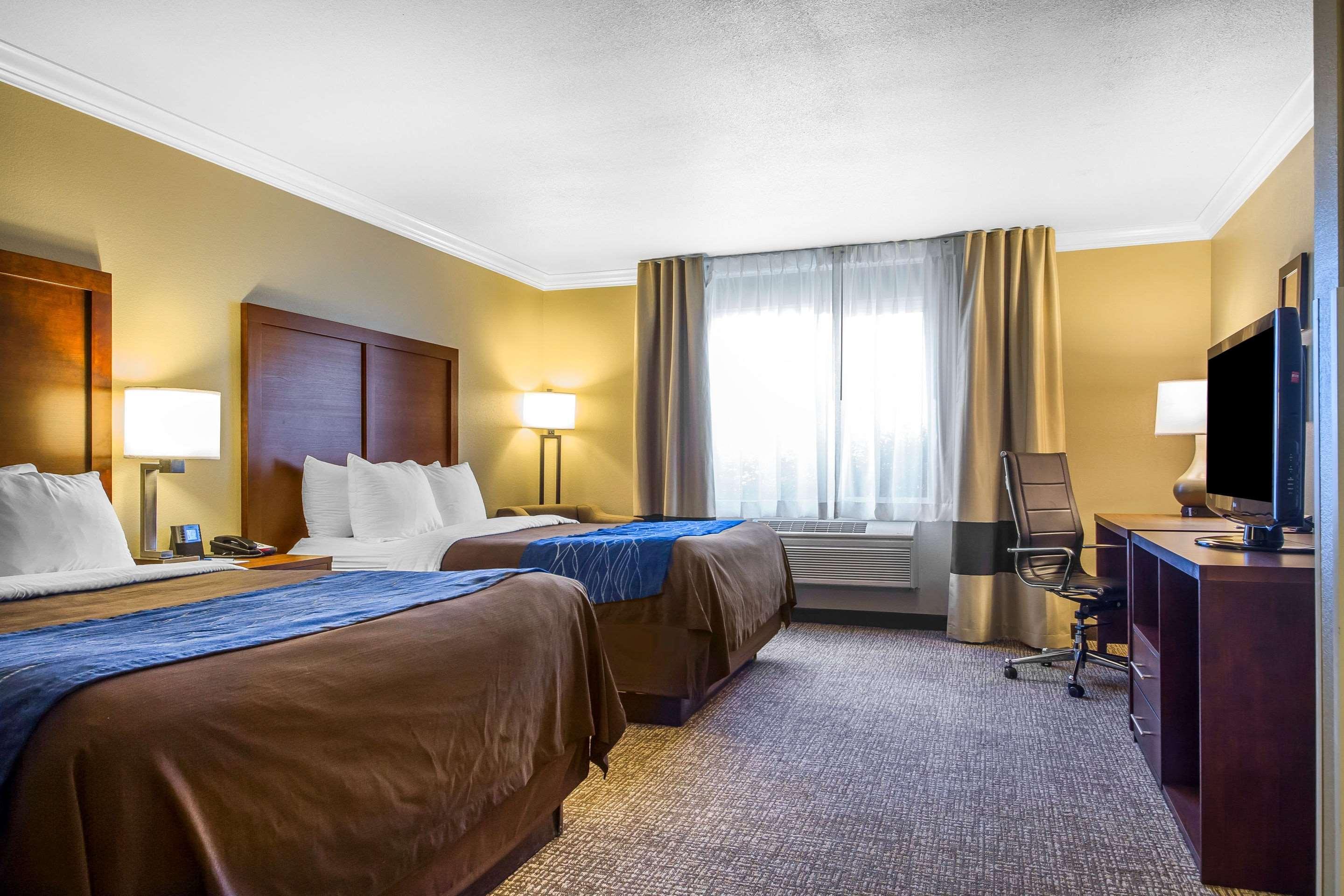 Double Two Queen Beds