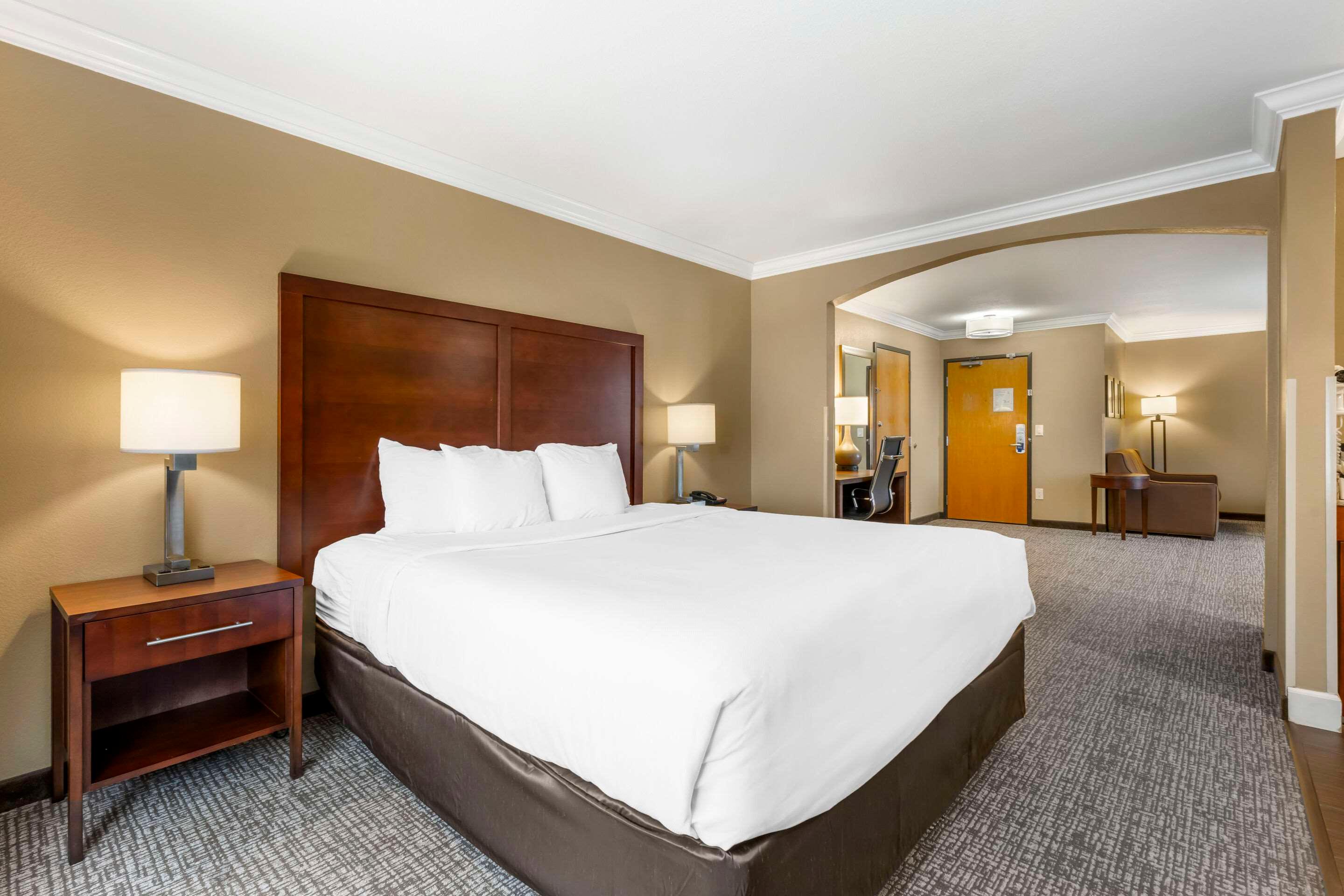 Suite King Bed Non Smoking