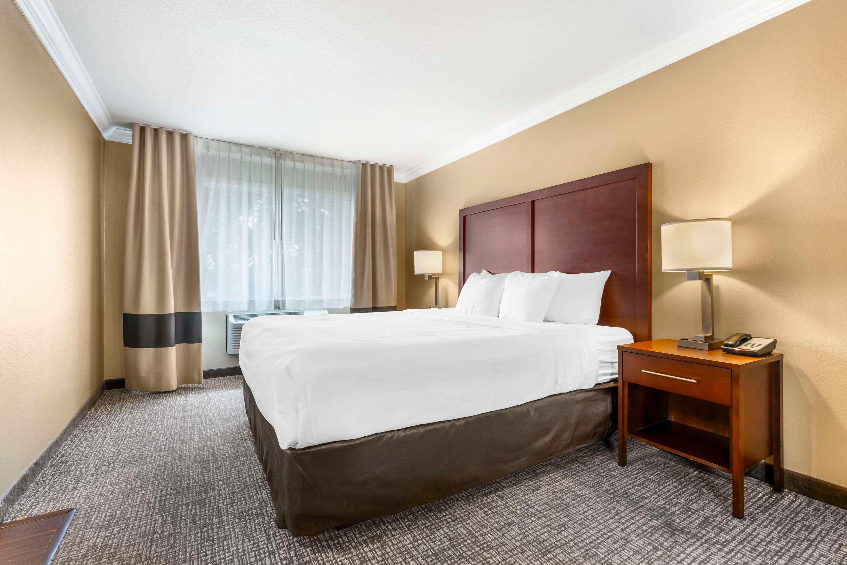 Suite King Bed Non Smoking