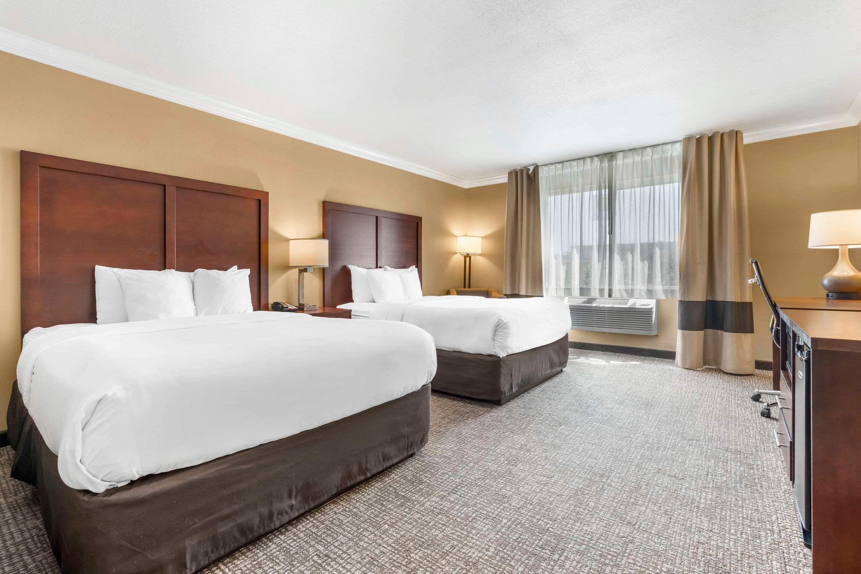 Double Two Queen Beds