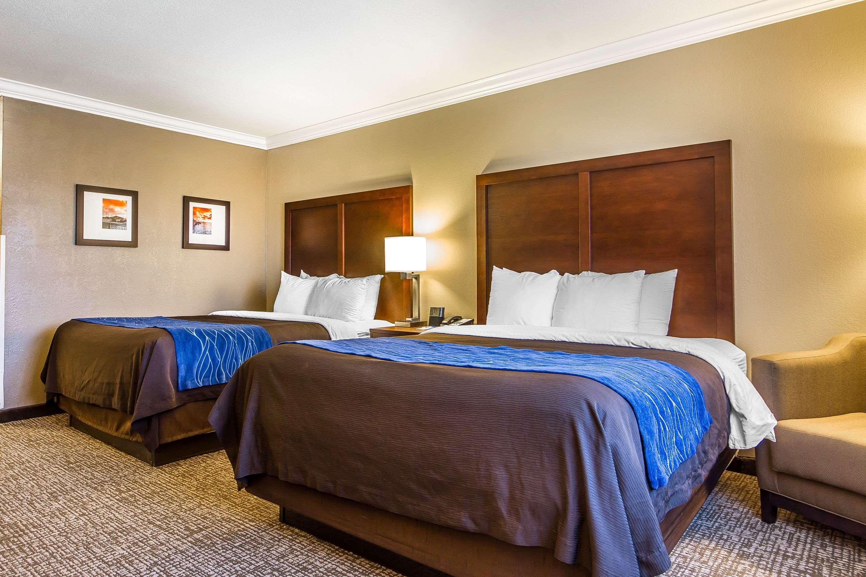 Double Two Queen Beds