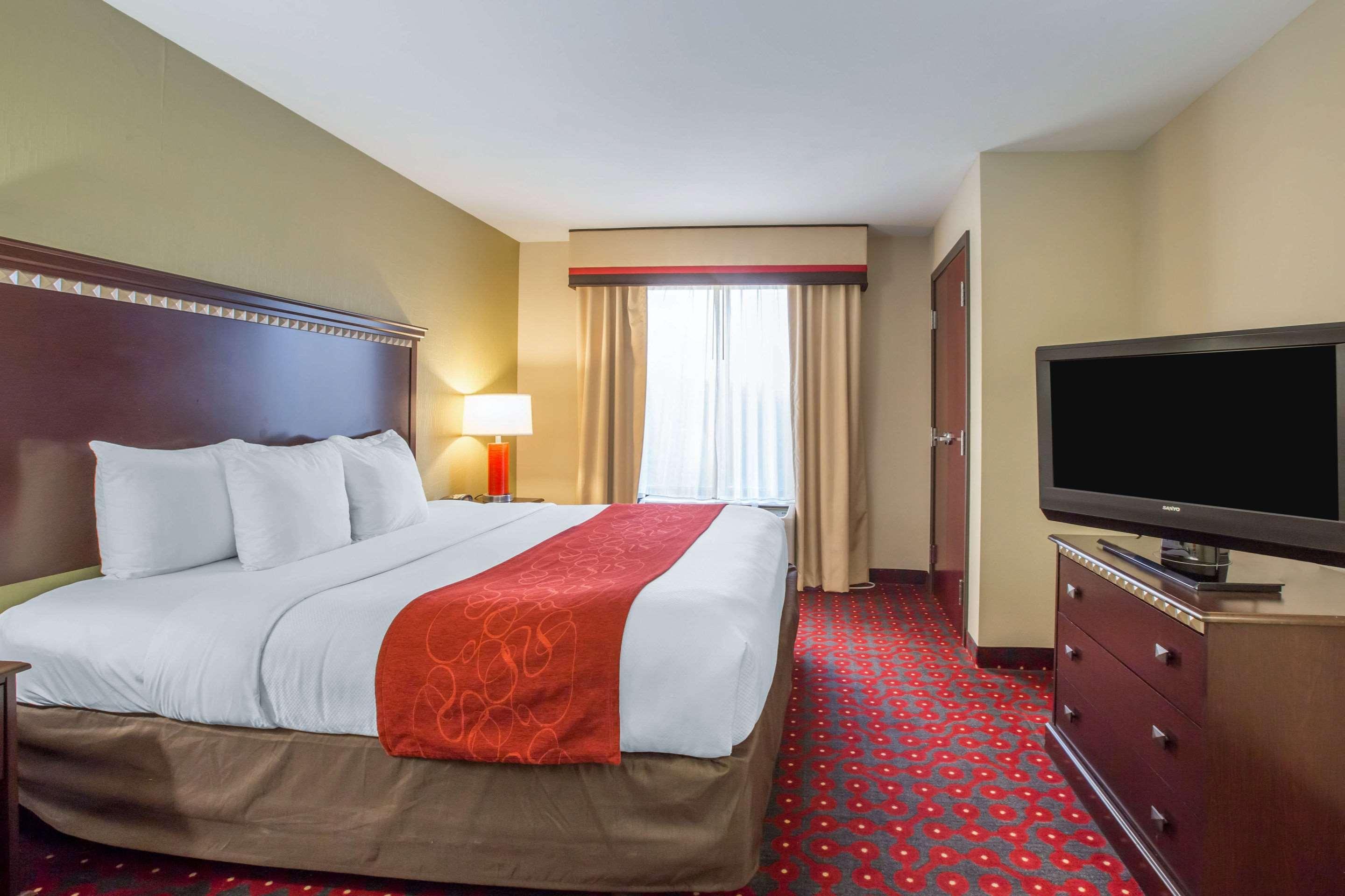 Suite King Bed Non Smoking