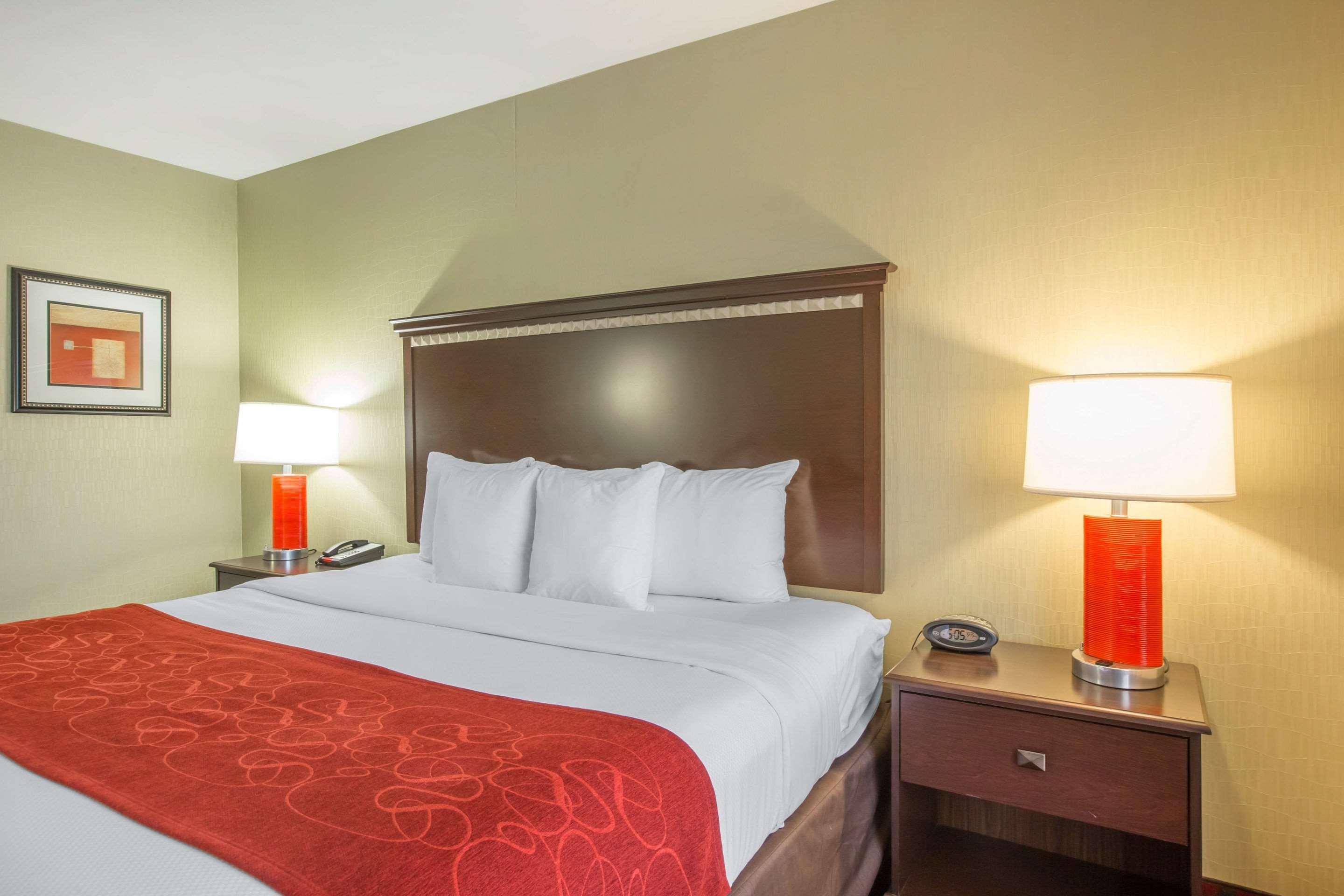 Suite King Bed Non Smoking