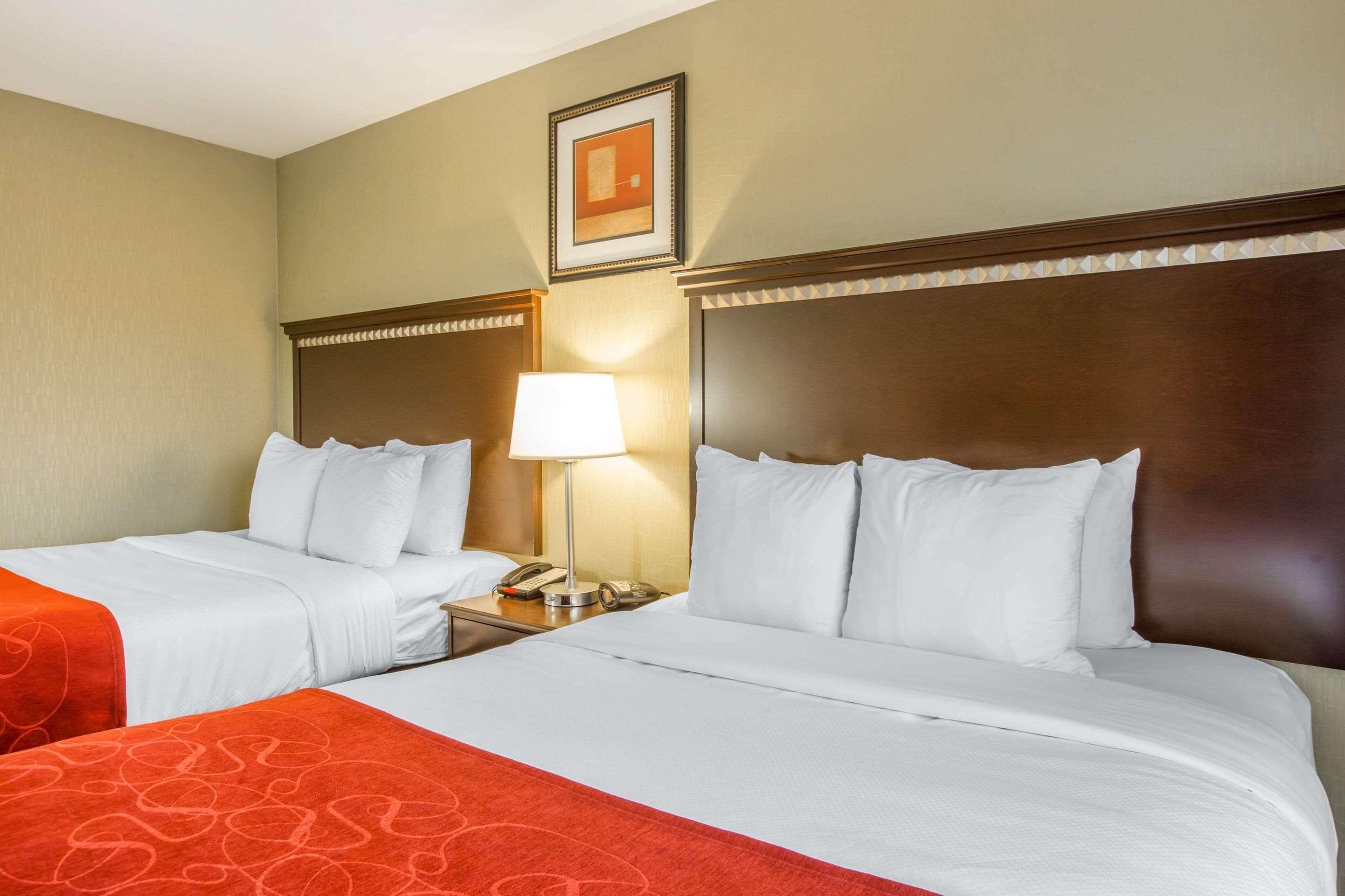 Suite Two Queen Beds