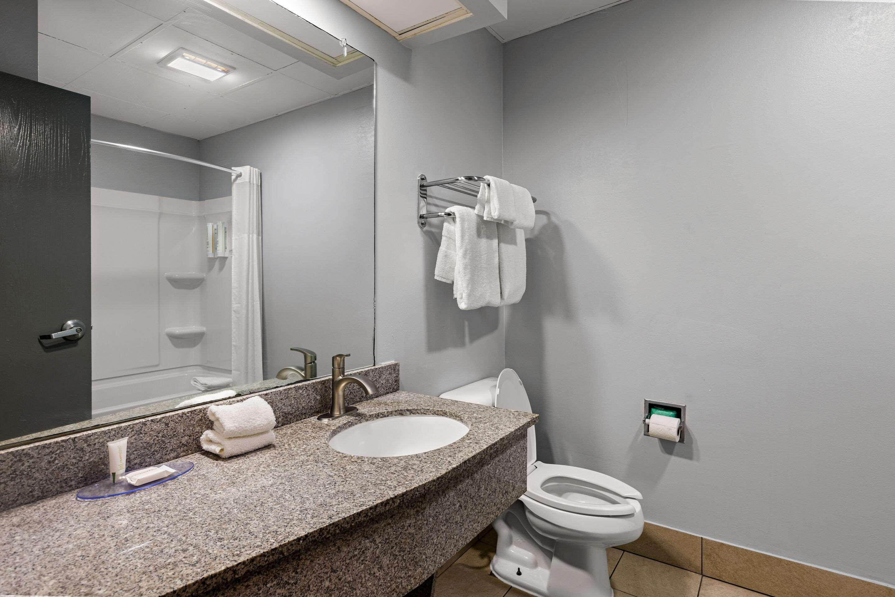 Suite King Bed Non Smoking