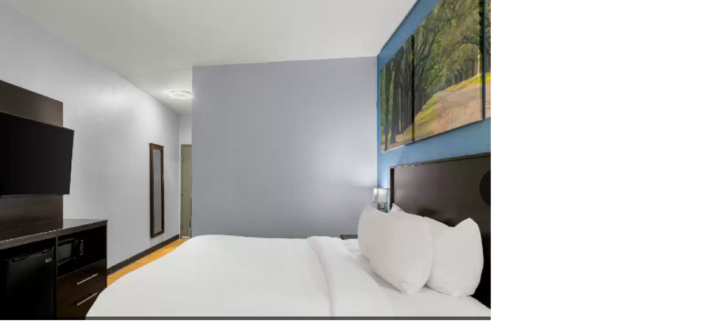 Suite Accessible King Size Bed