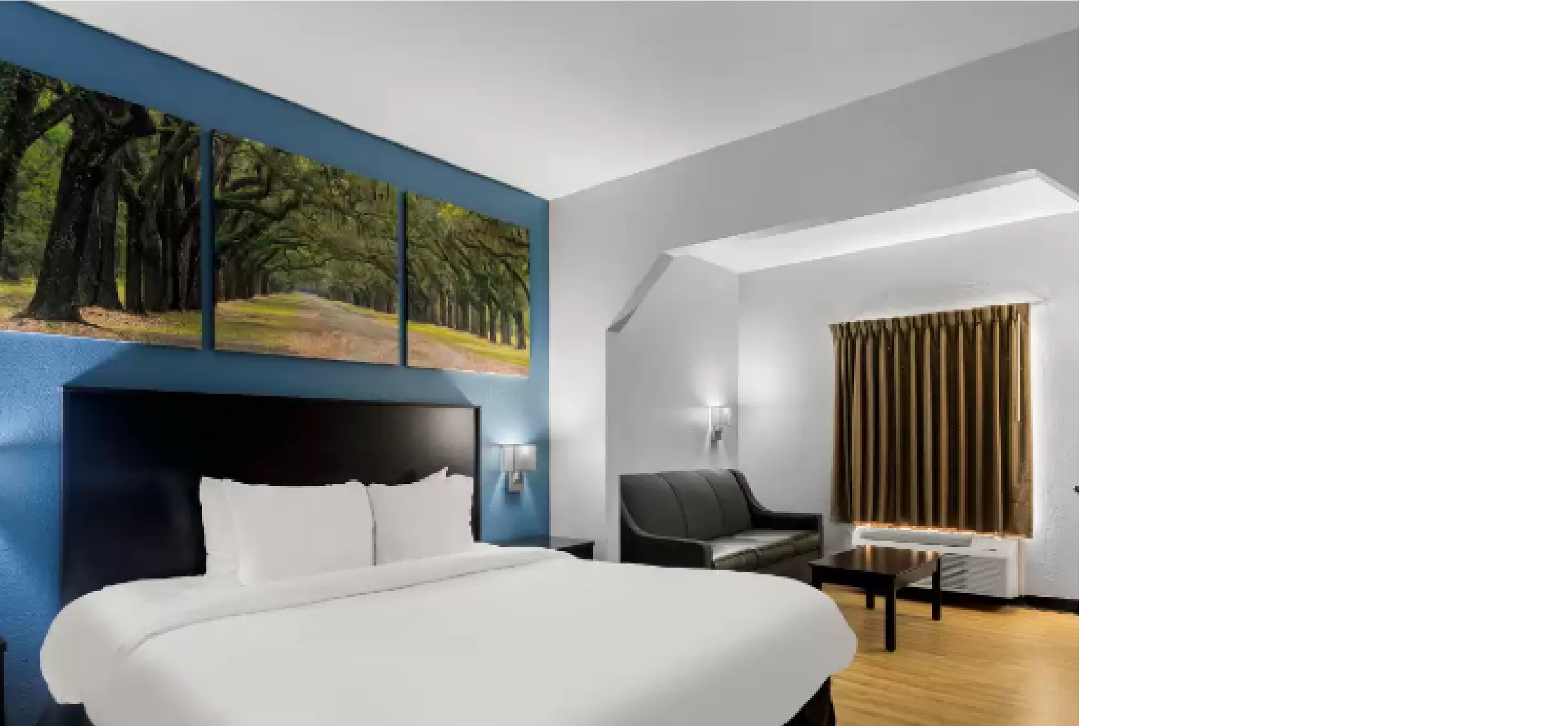 Suite King Bed Non Smoking