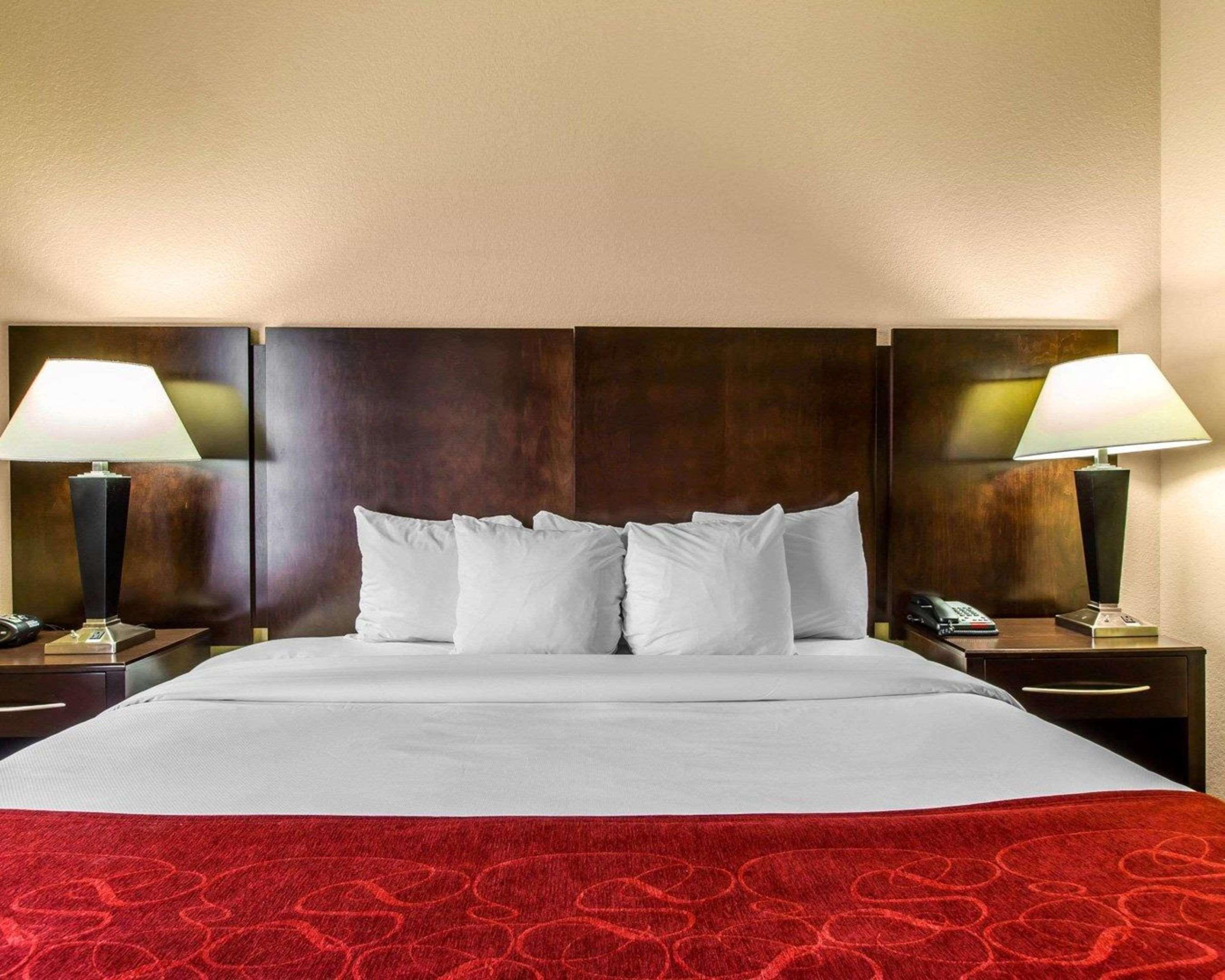 Suite King Bed Non Smoking