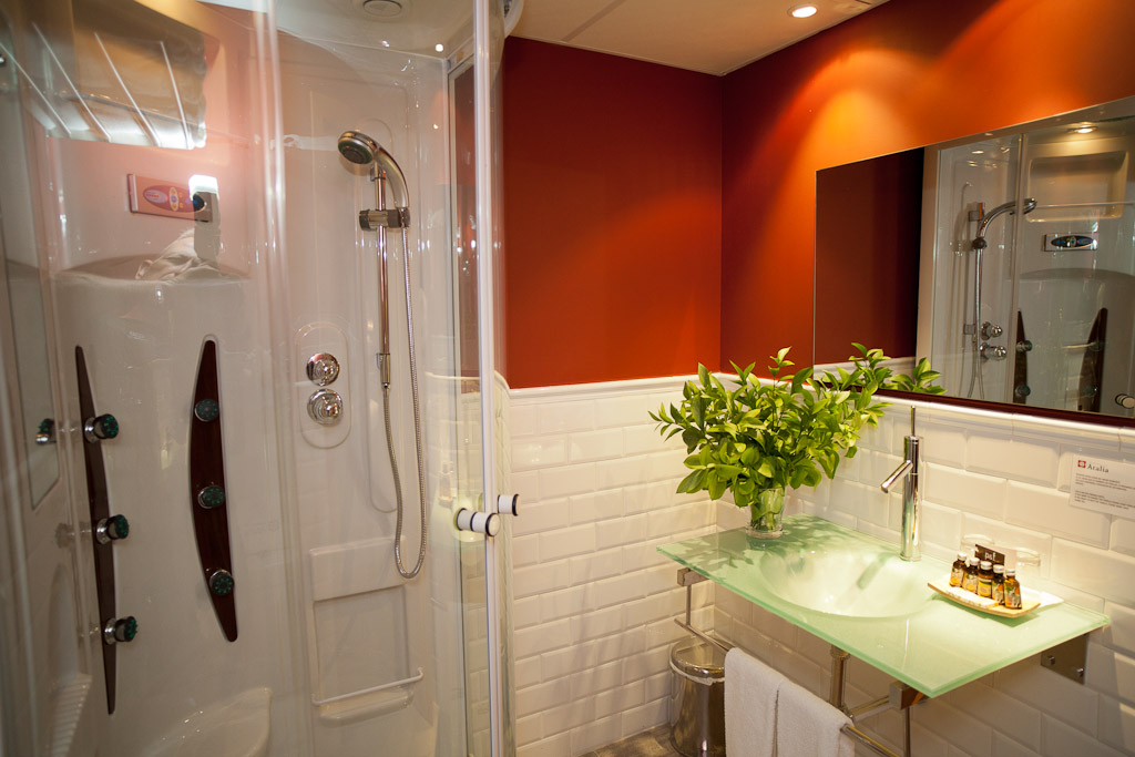 Double or Twin Economy