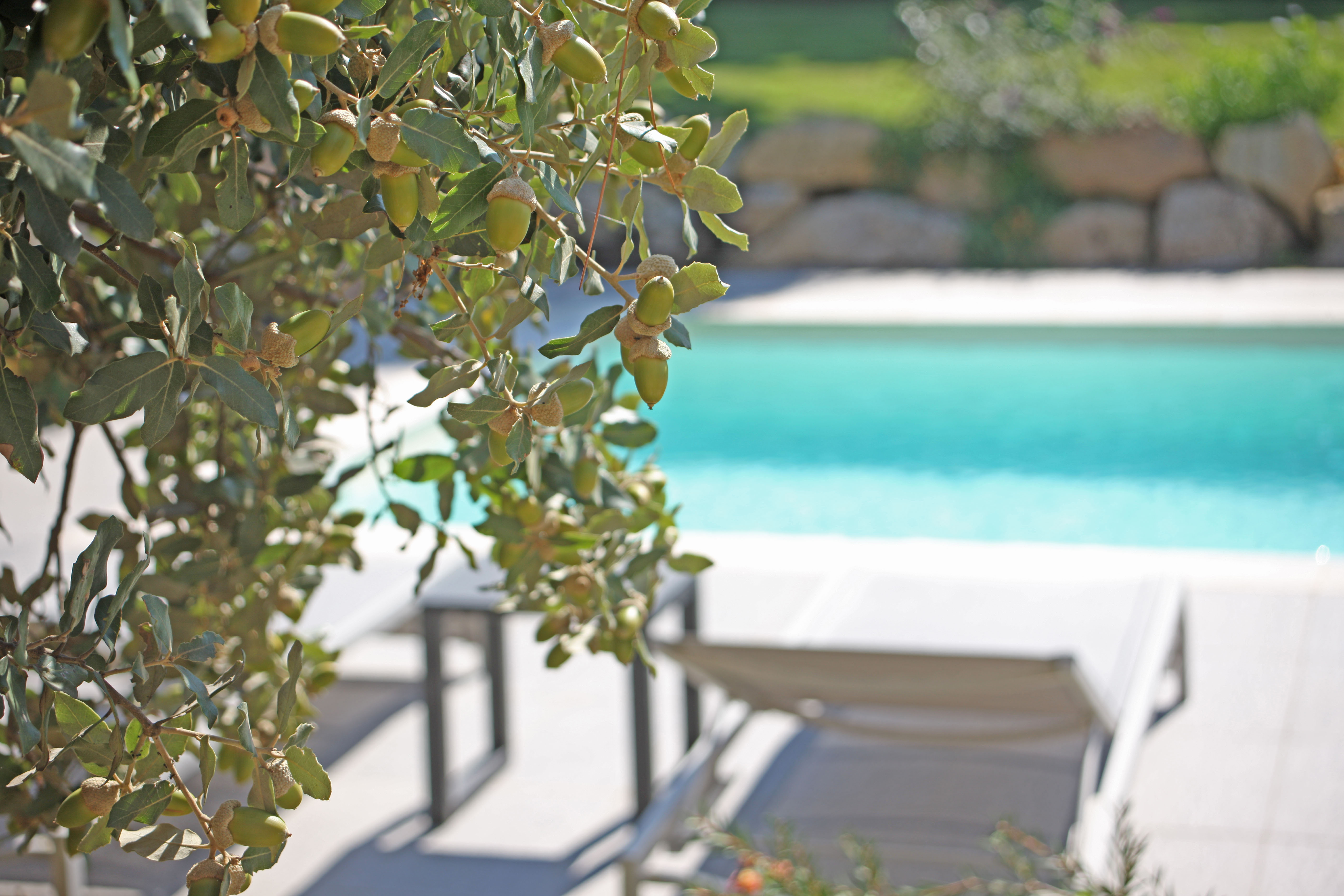 Villa Capacity 8 Four Bedrooms