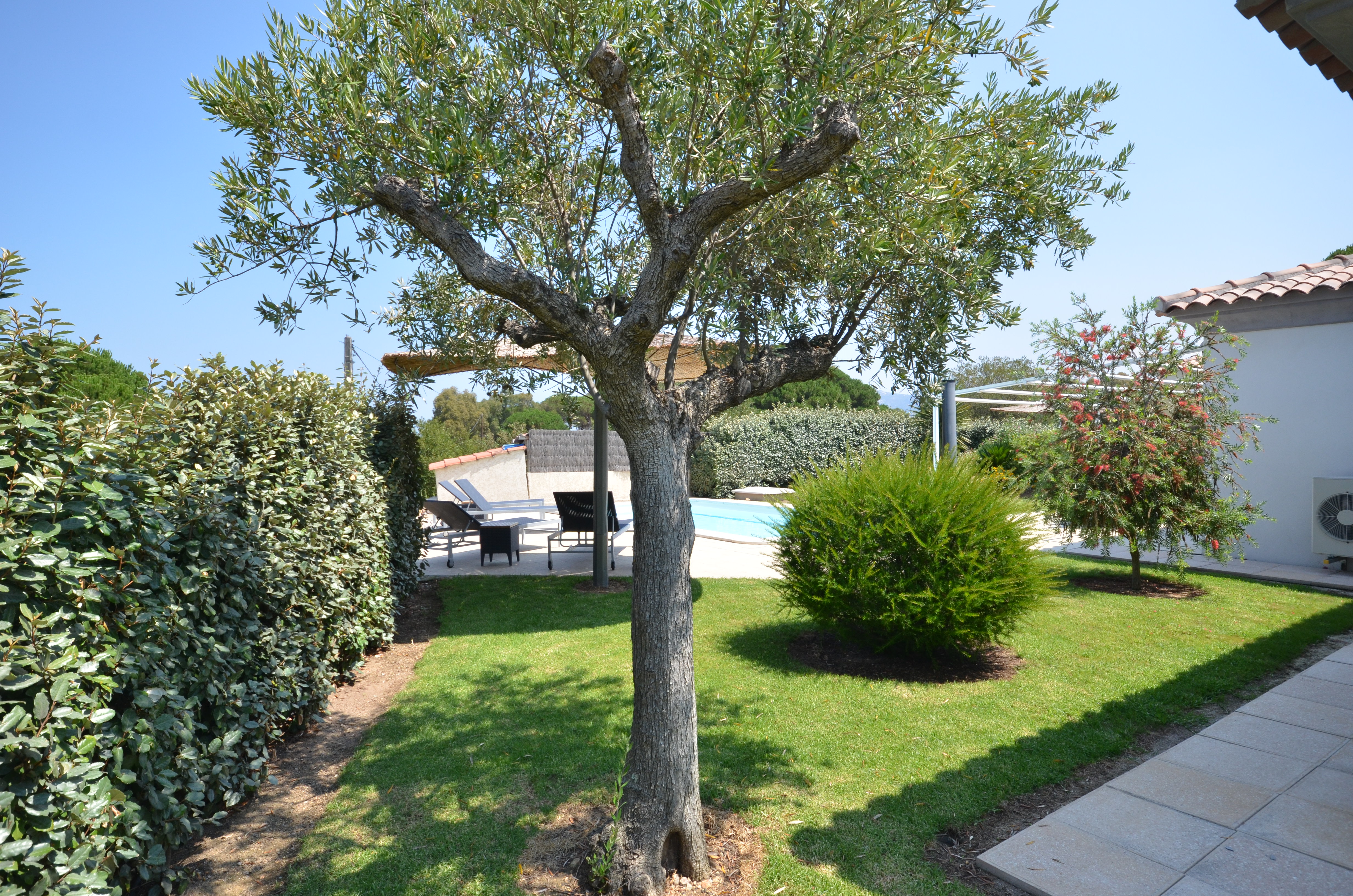 Villa Executive Three Bedrooms