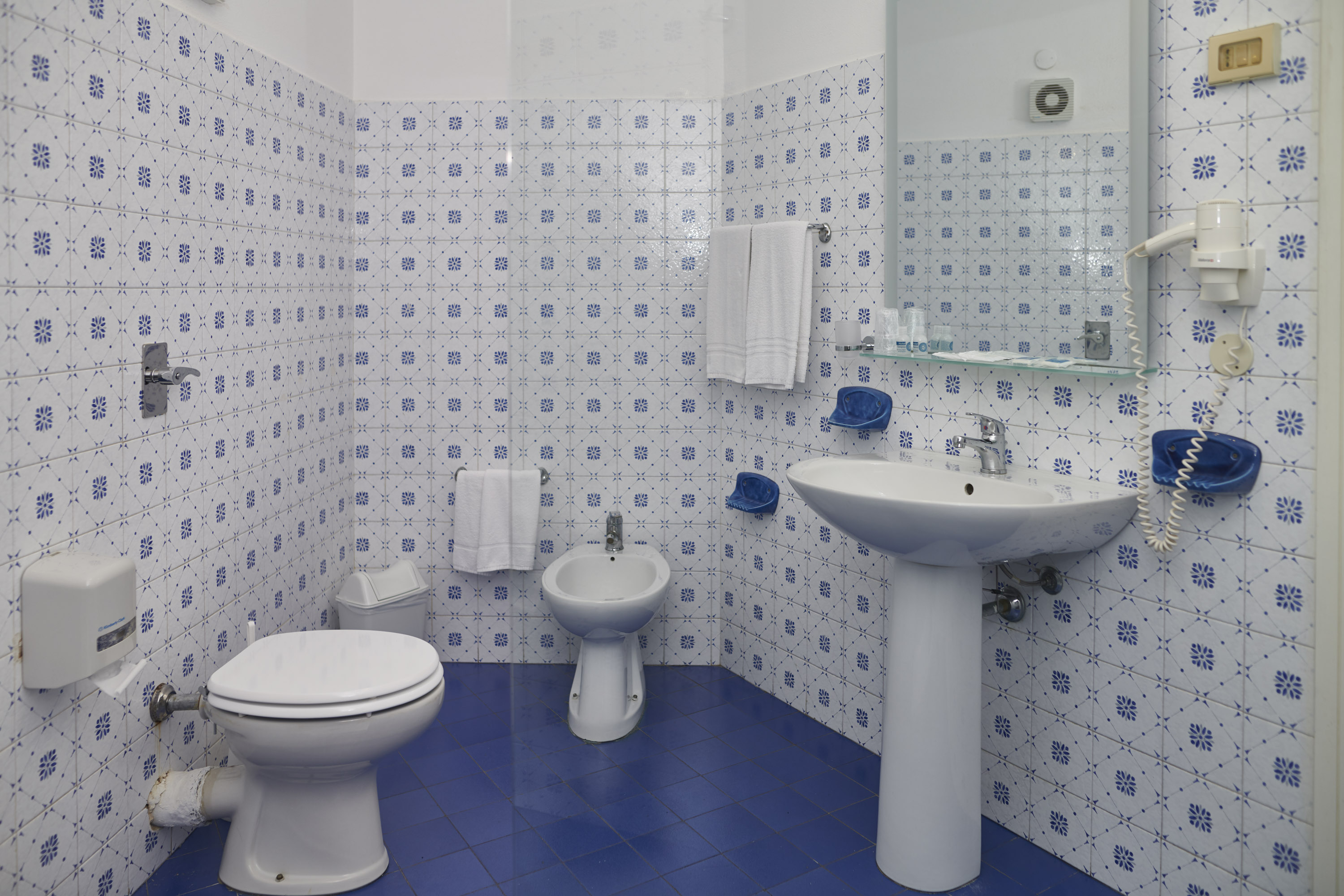 Double or Twin Superior