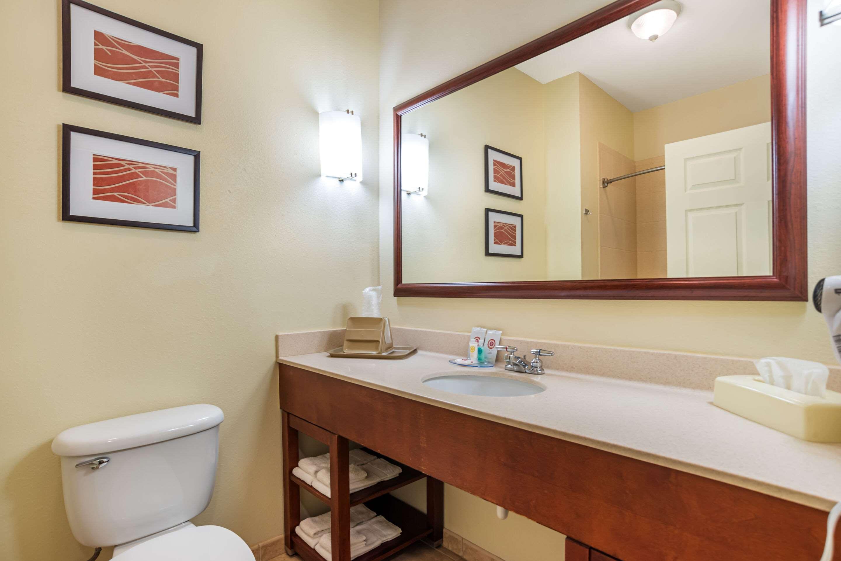 Suite King Bed Non Smoking