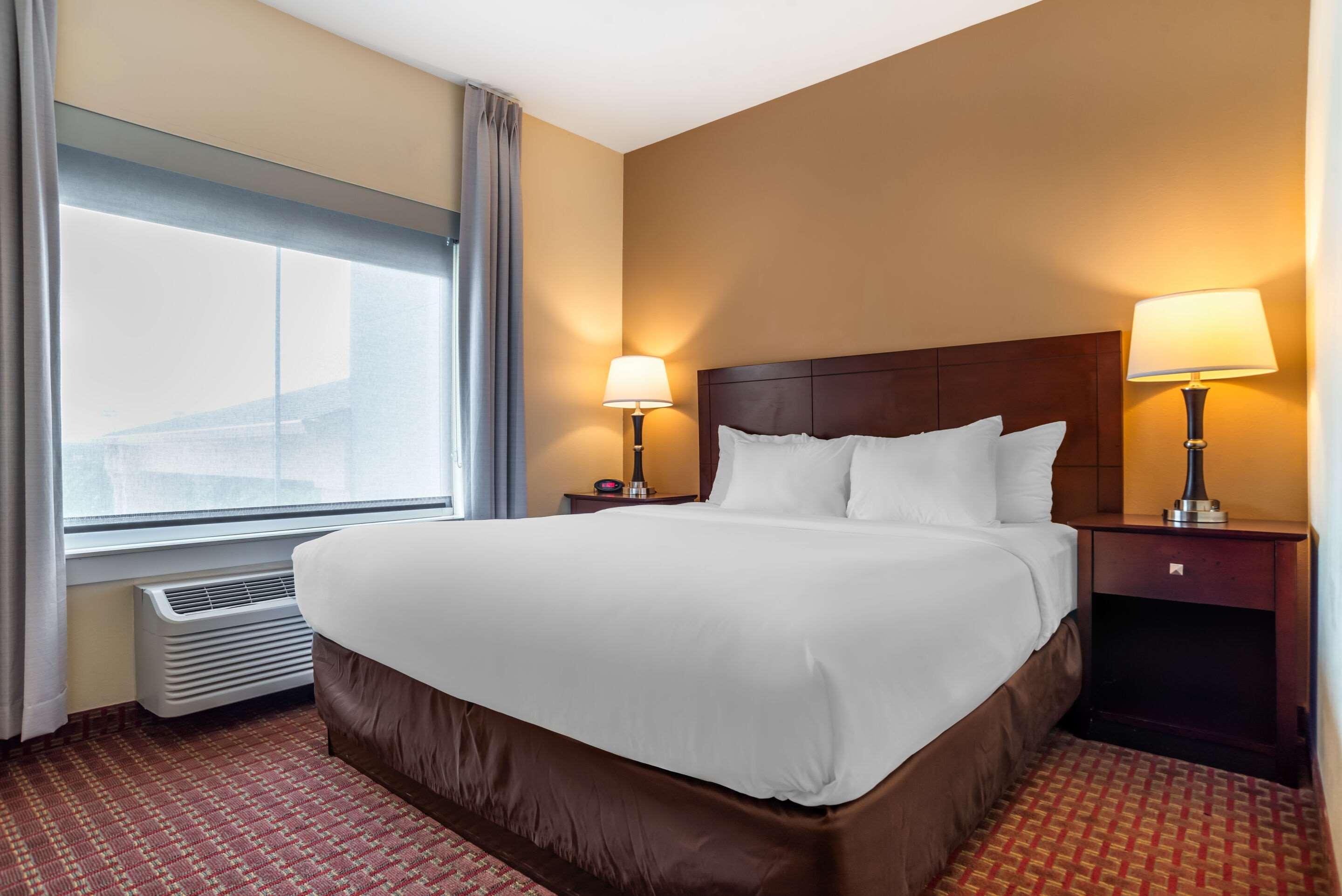 Suite King Bed Non Smoking