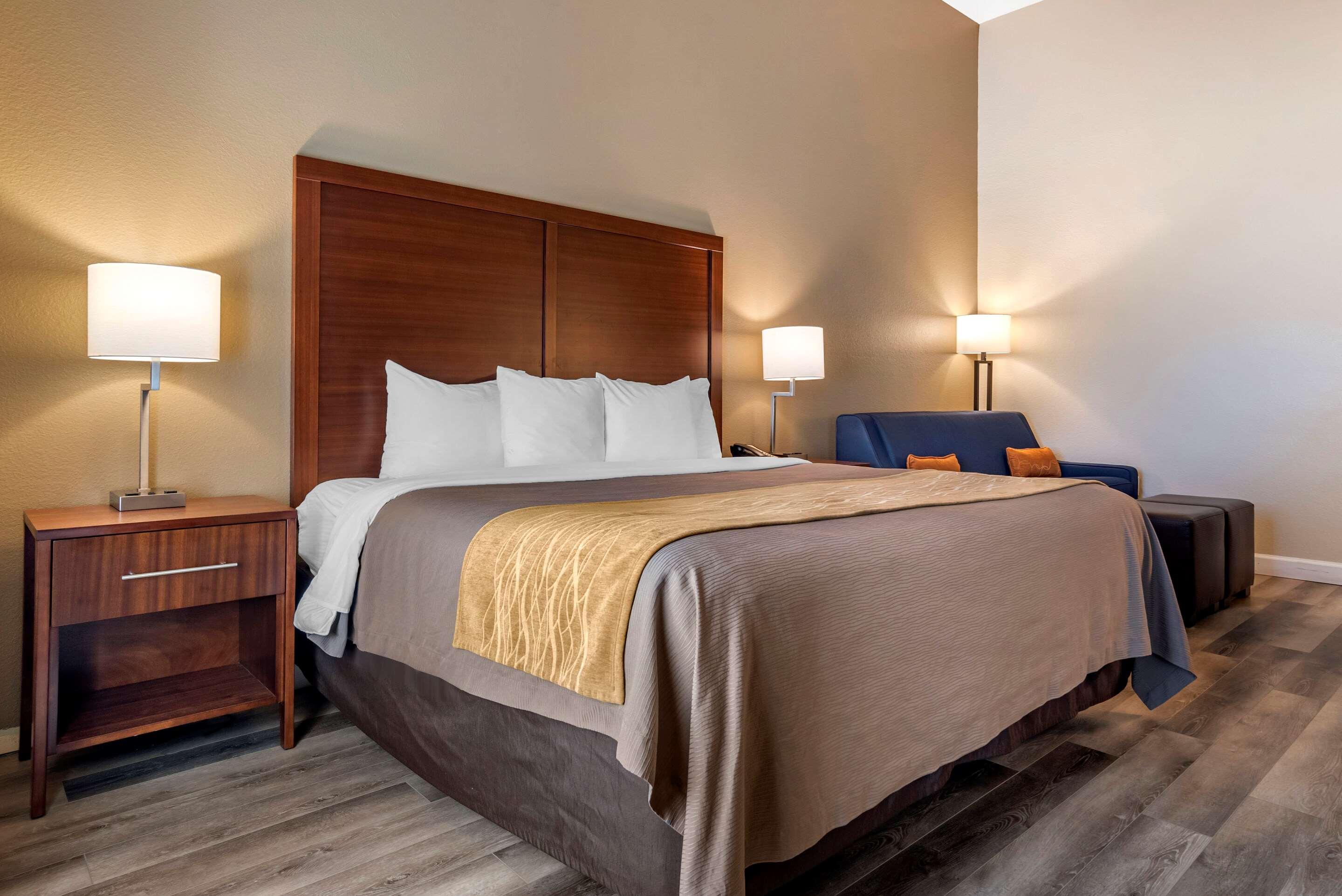 Double Accessible King Size Bed