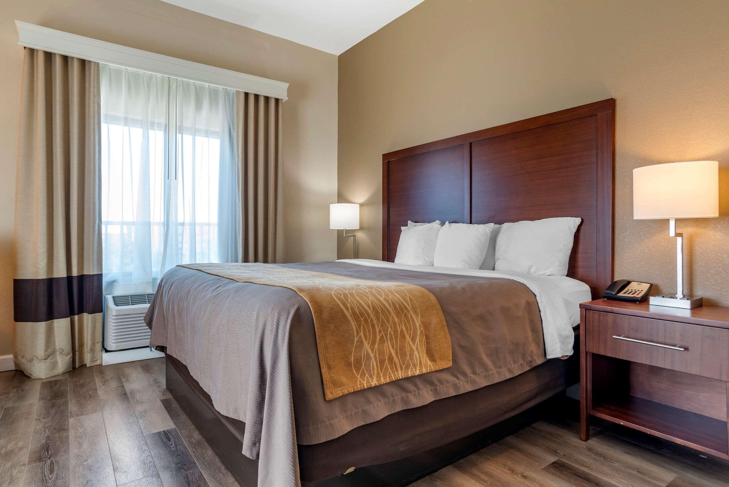 Suite King Bed Non Smoking