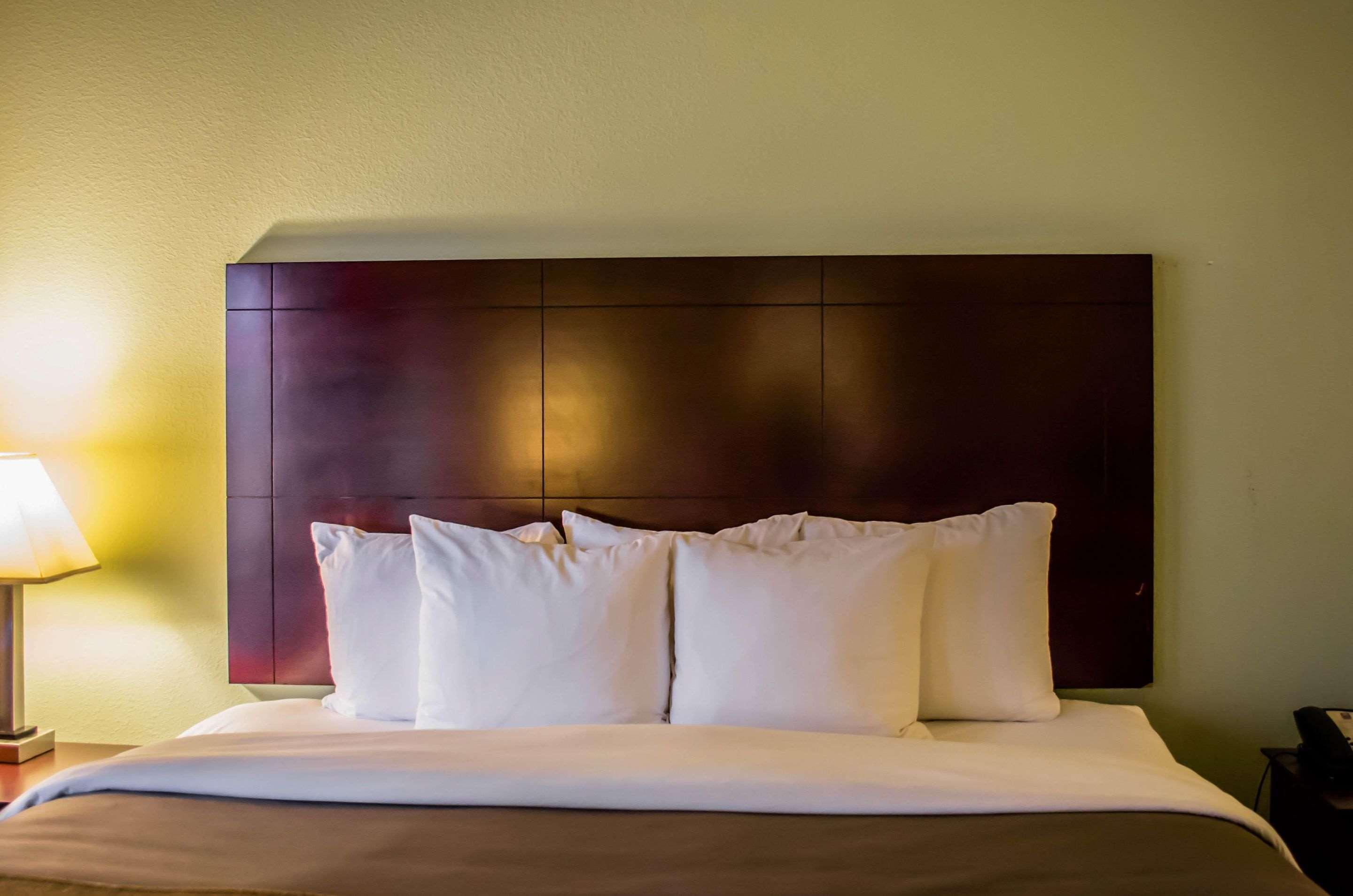 Double King Bed Non Smoking