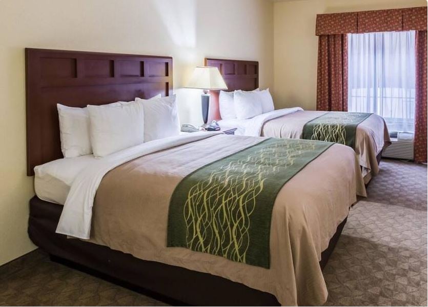 Suite Two Queen Beds