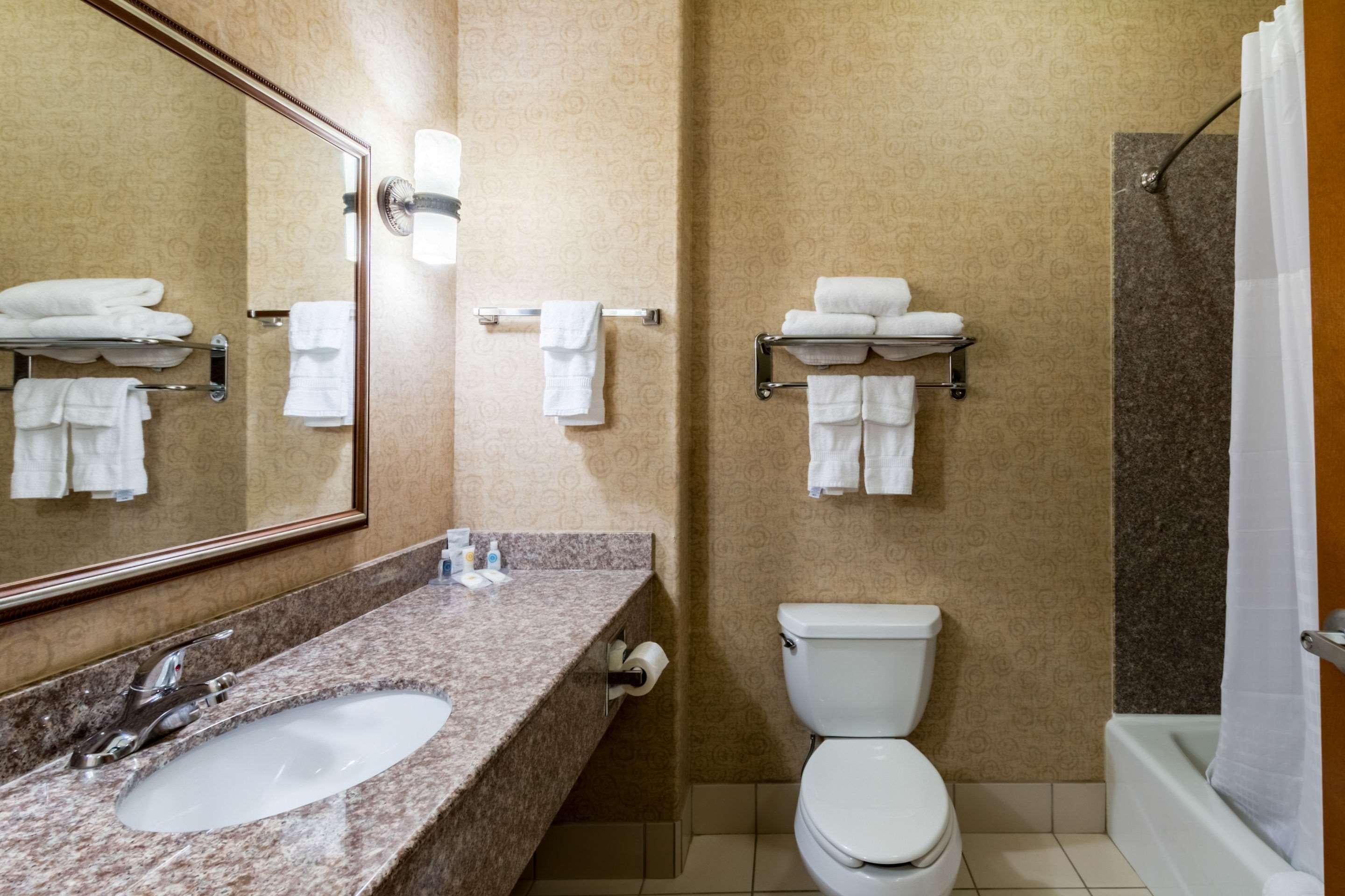 Suite King Bed Non Smoking