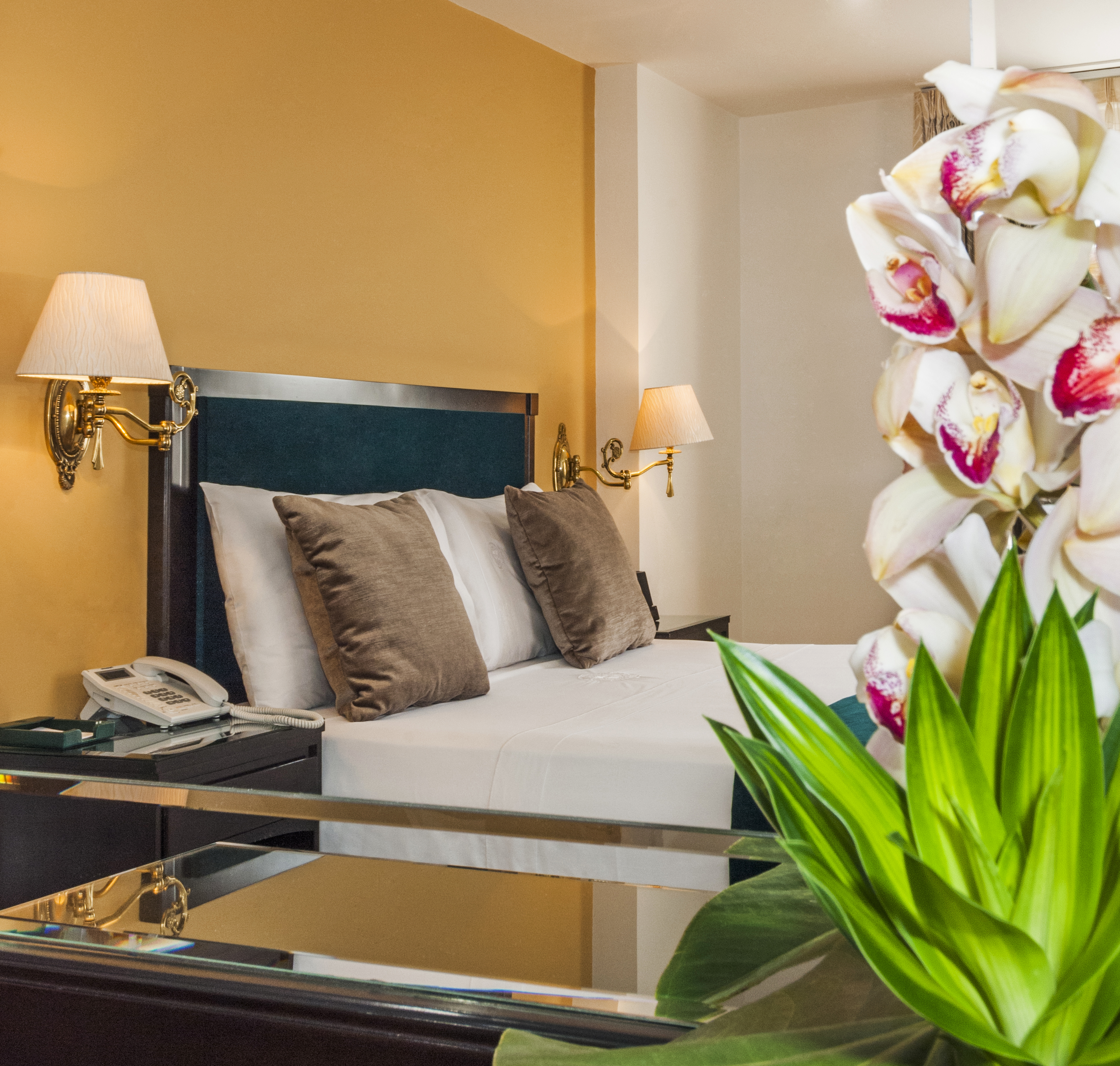 Junior Suite Standard