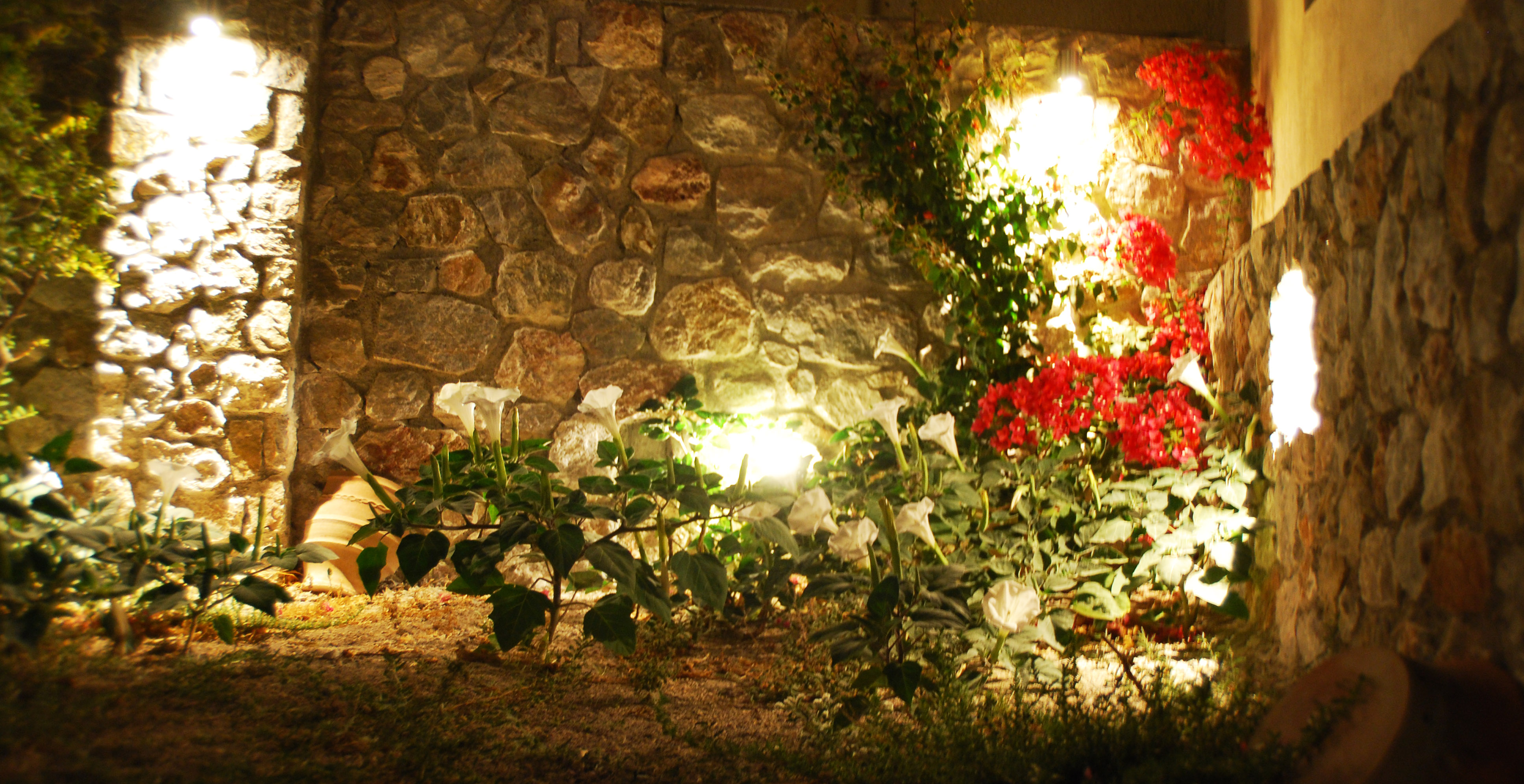 Apartment Mountain View