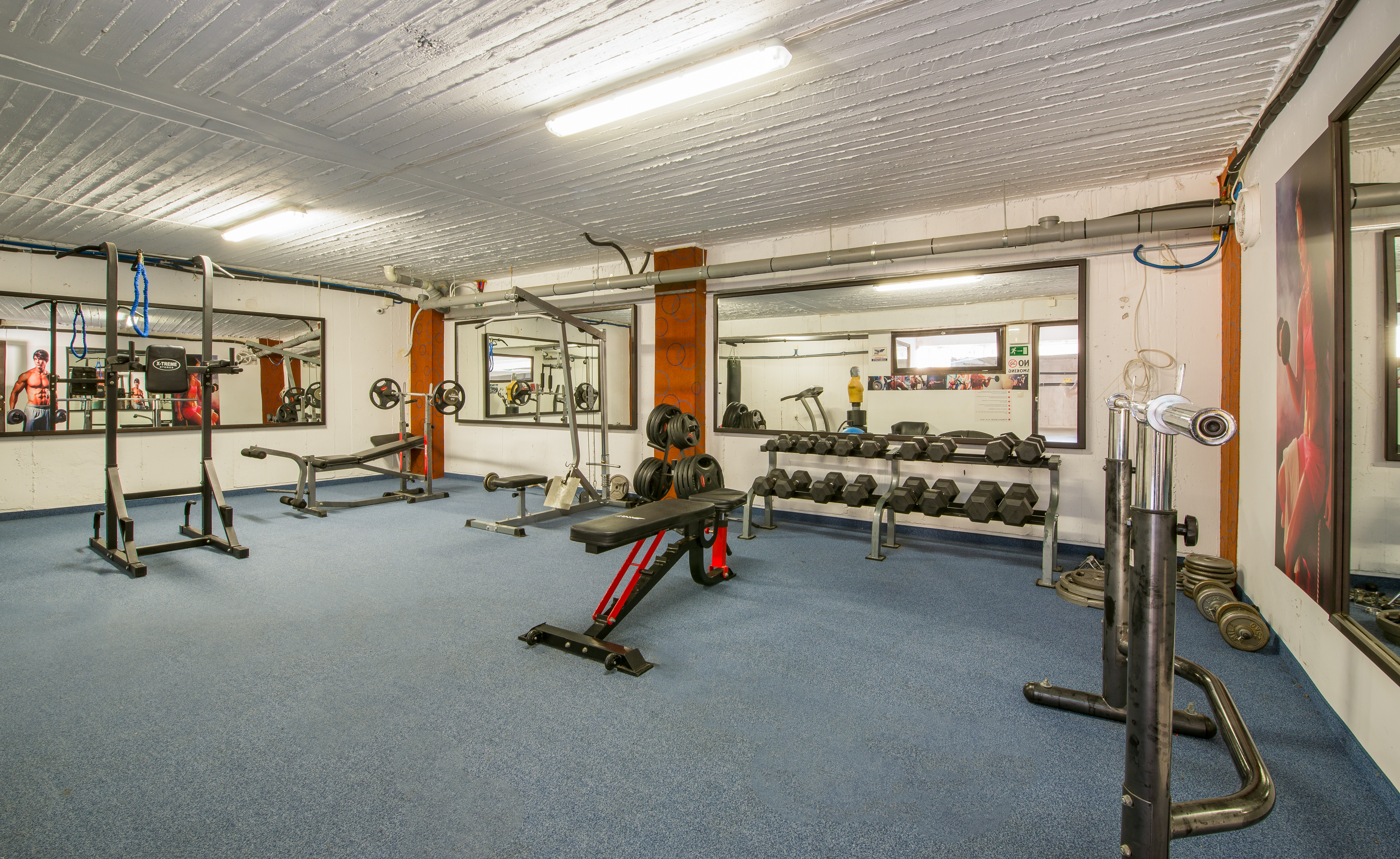 Sports and Entertainment