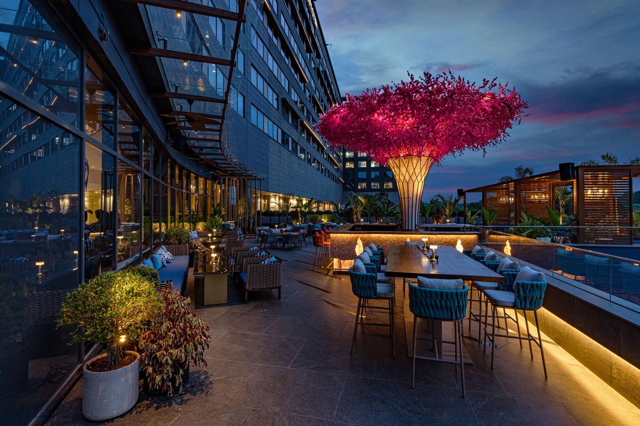 Sports and Entertainment